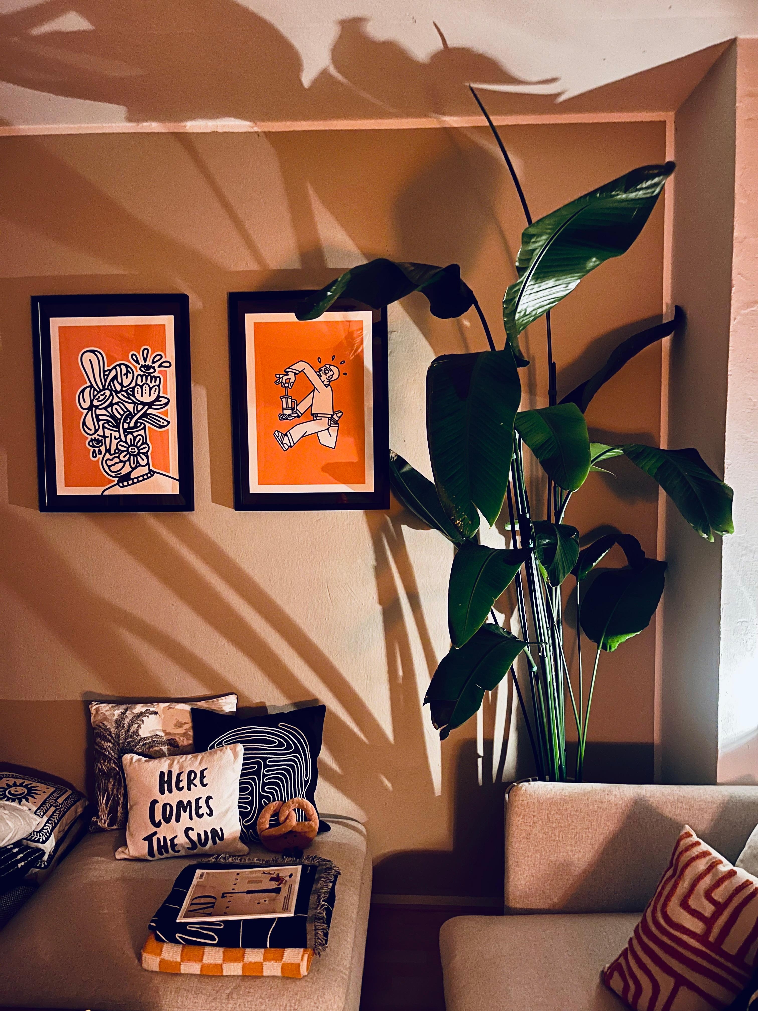 🌱🧡 
#couchliebt #strelizie #pflanzenliebe #douglasfullerton #dougdidthat #zuhause #söderhamn #schattenspiel