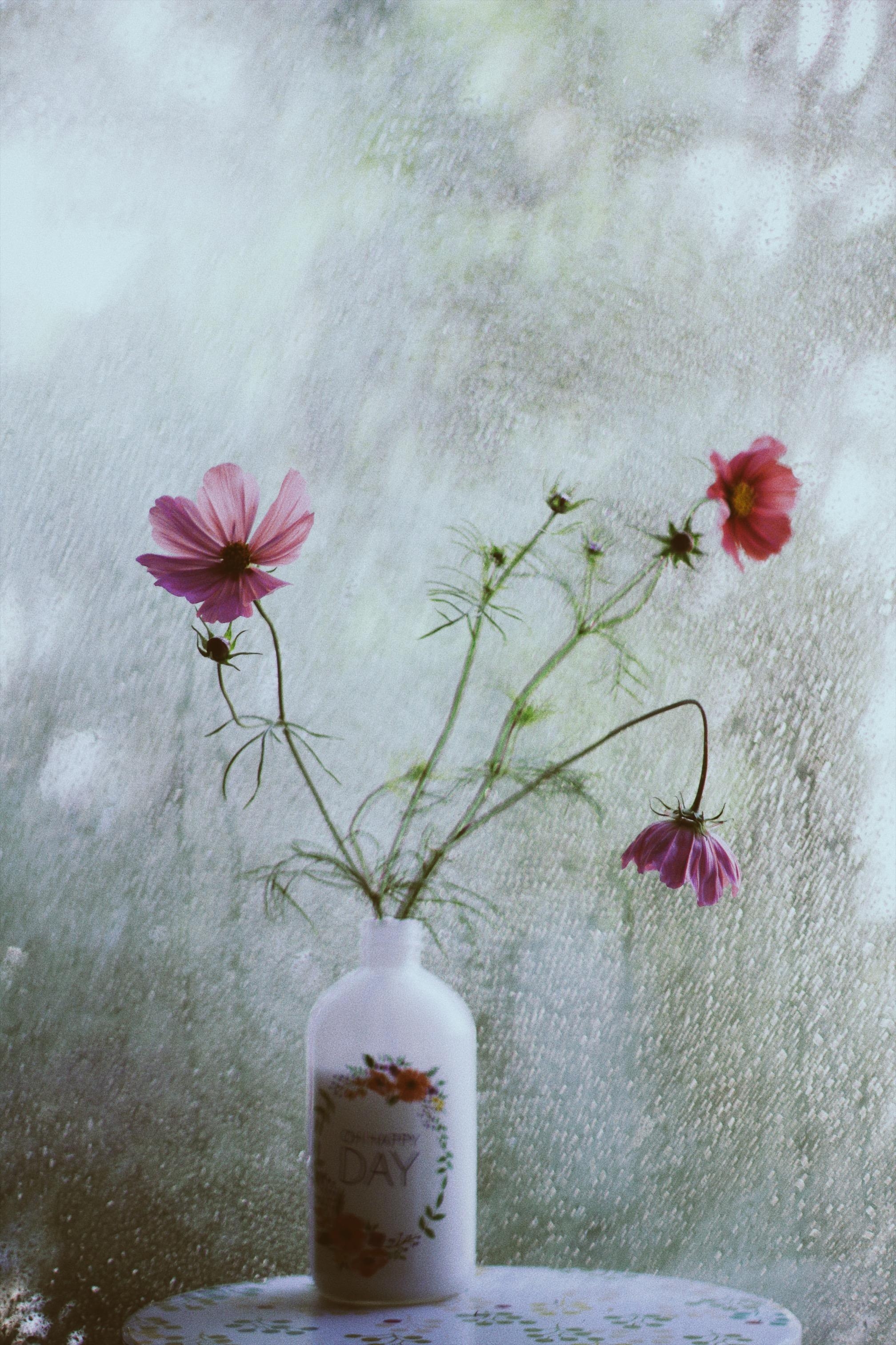 🌸🌸🌸
#couchliebt#flowerpower#sommer#vase#regen#scandi#urbanjungle