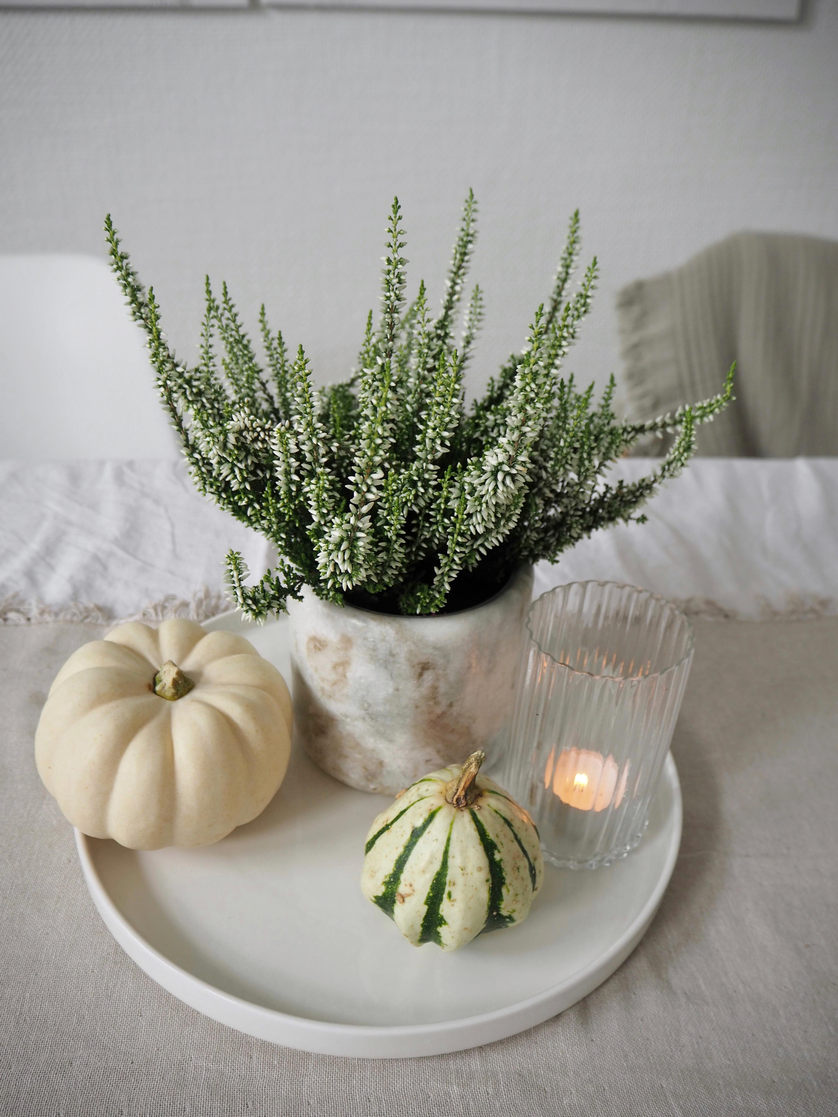🍁🍂 dezent #herbstlich , #herbstdeko #kürbis #tischdeko #herbst #marmor #tischdekoration #autumn #autumndecor #pumpkin
