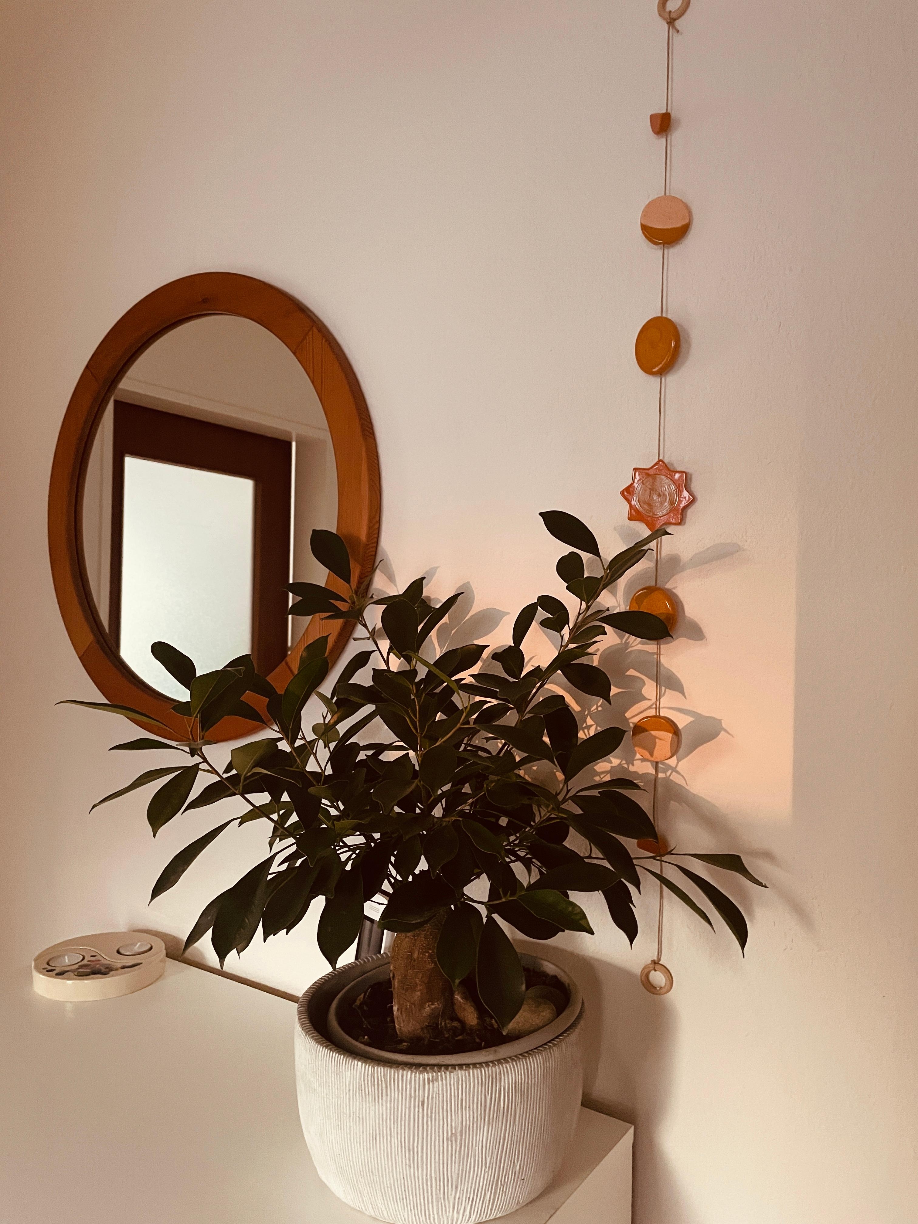 🌞🪴 #Eingangsbereich #Pflanzen #Spiegel