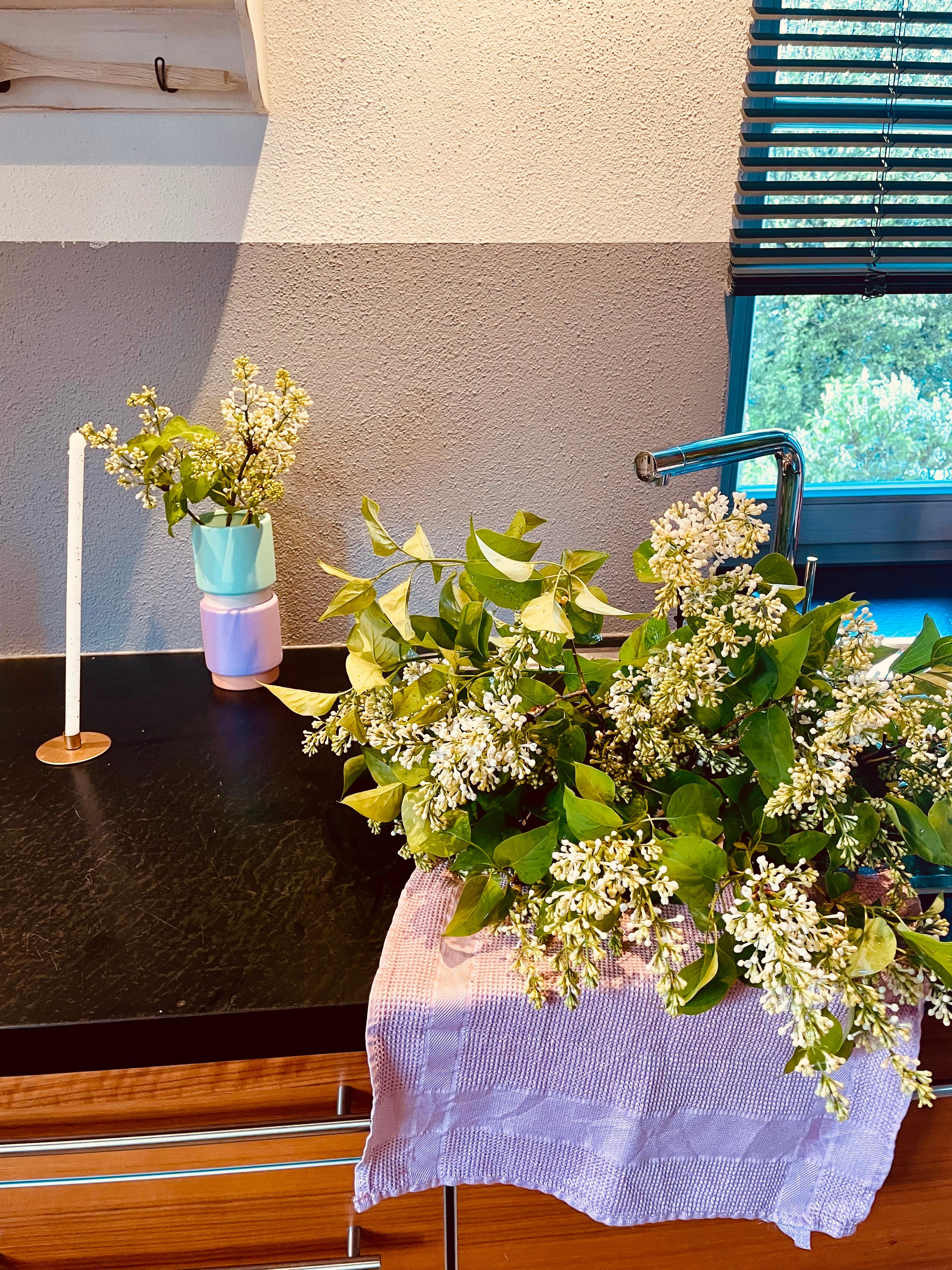 💜 #Flieder für euch. Gerade frisch im #Garten geschnitten. #lilac #frischeblumen #küche #vase 