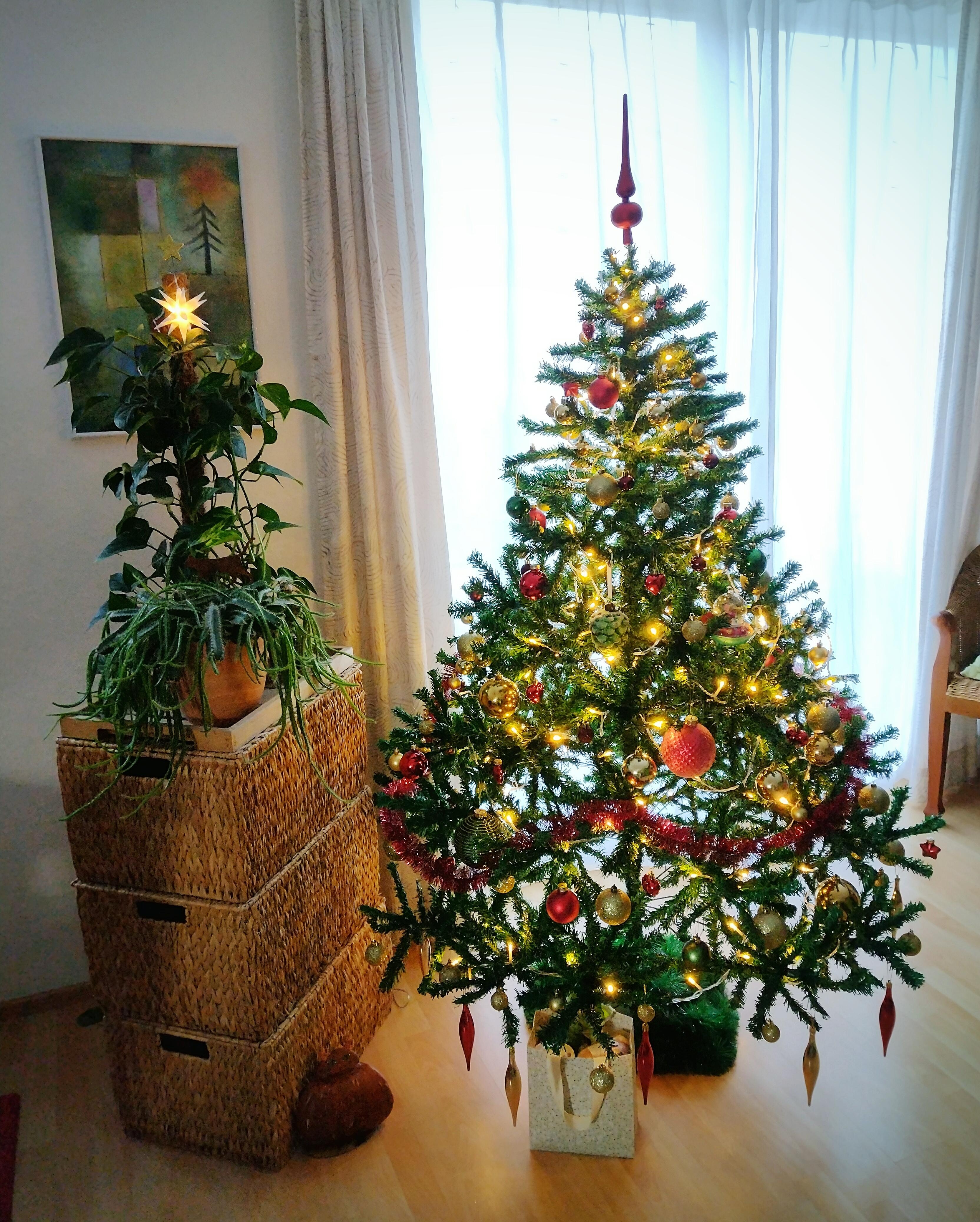 ❄️ Frohe Weihnachten ❄️
#weihnachtsbaum #lichter #weihnachtlich #tannenbaum