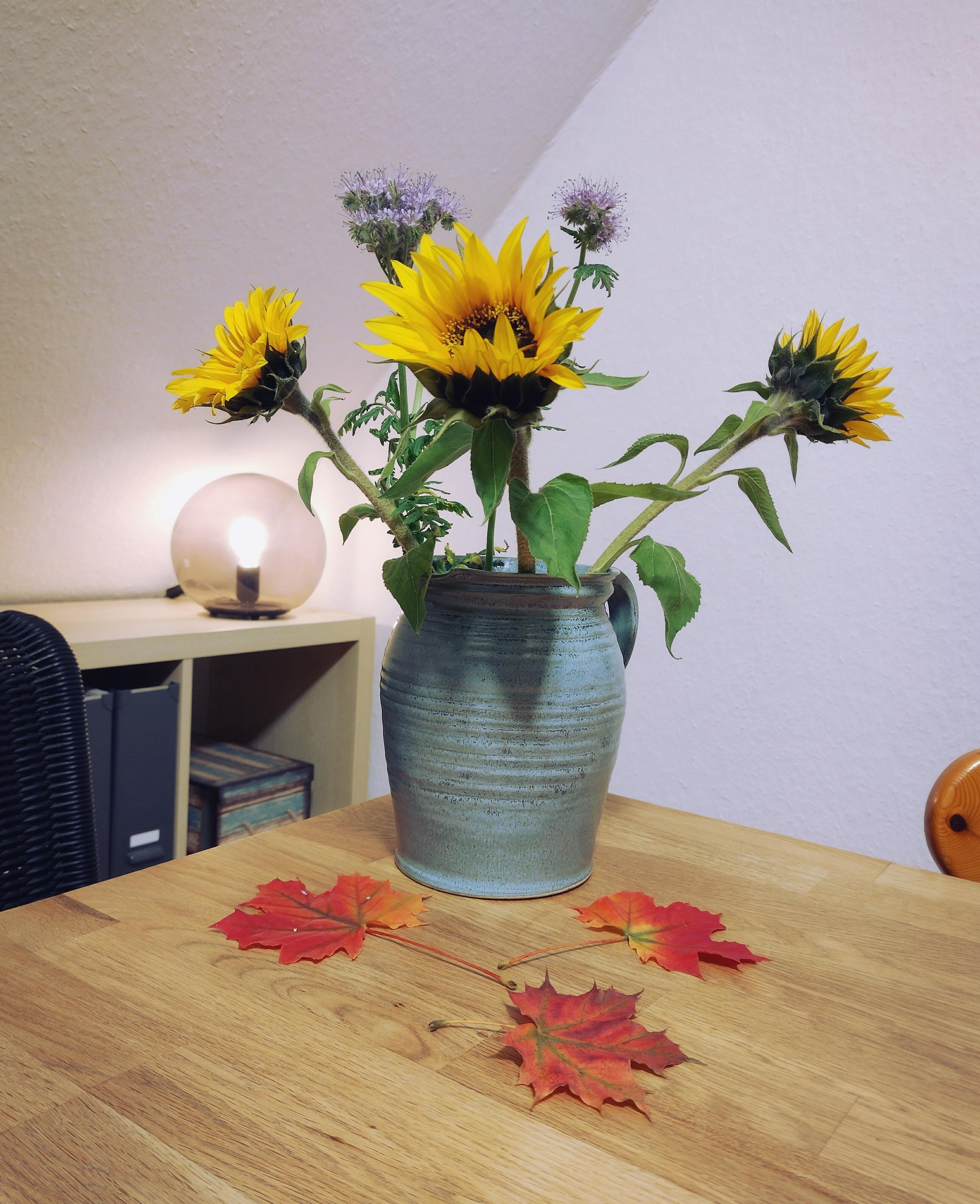 🍁🌻🍁
#herbst #frischeblumen #vintagevase #keramikvase #lampe #herbstblätter #herbstliebe #sonnenblumen