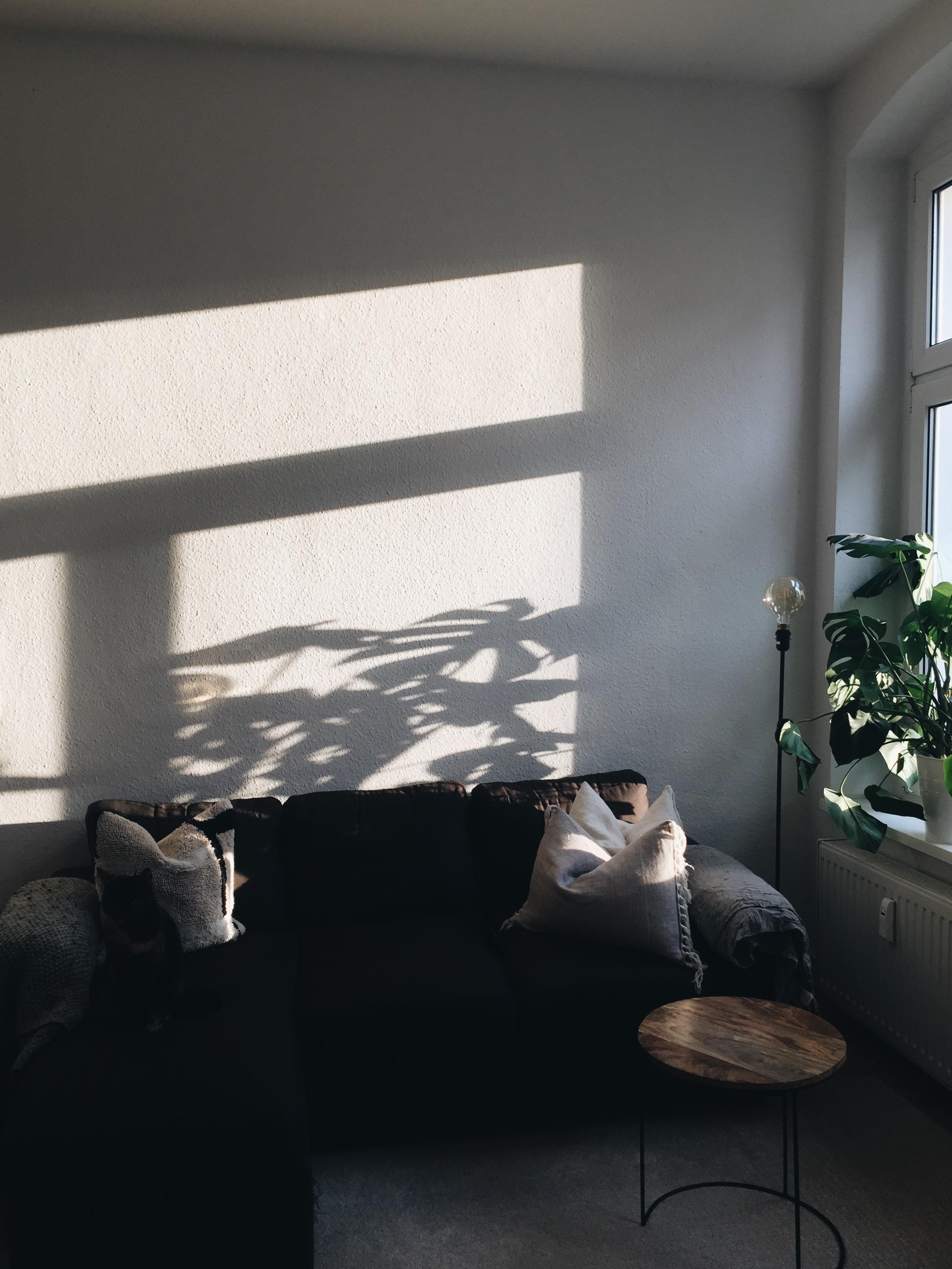 ✨ #livingroom #liebsteecke #minimalismus #herecomesthesun