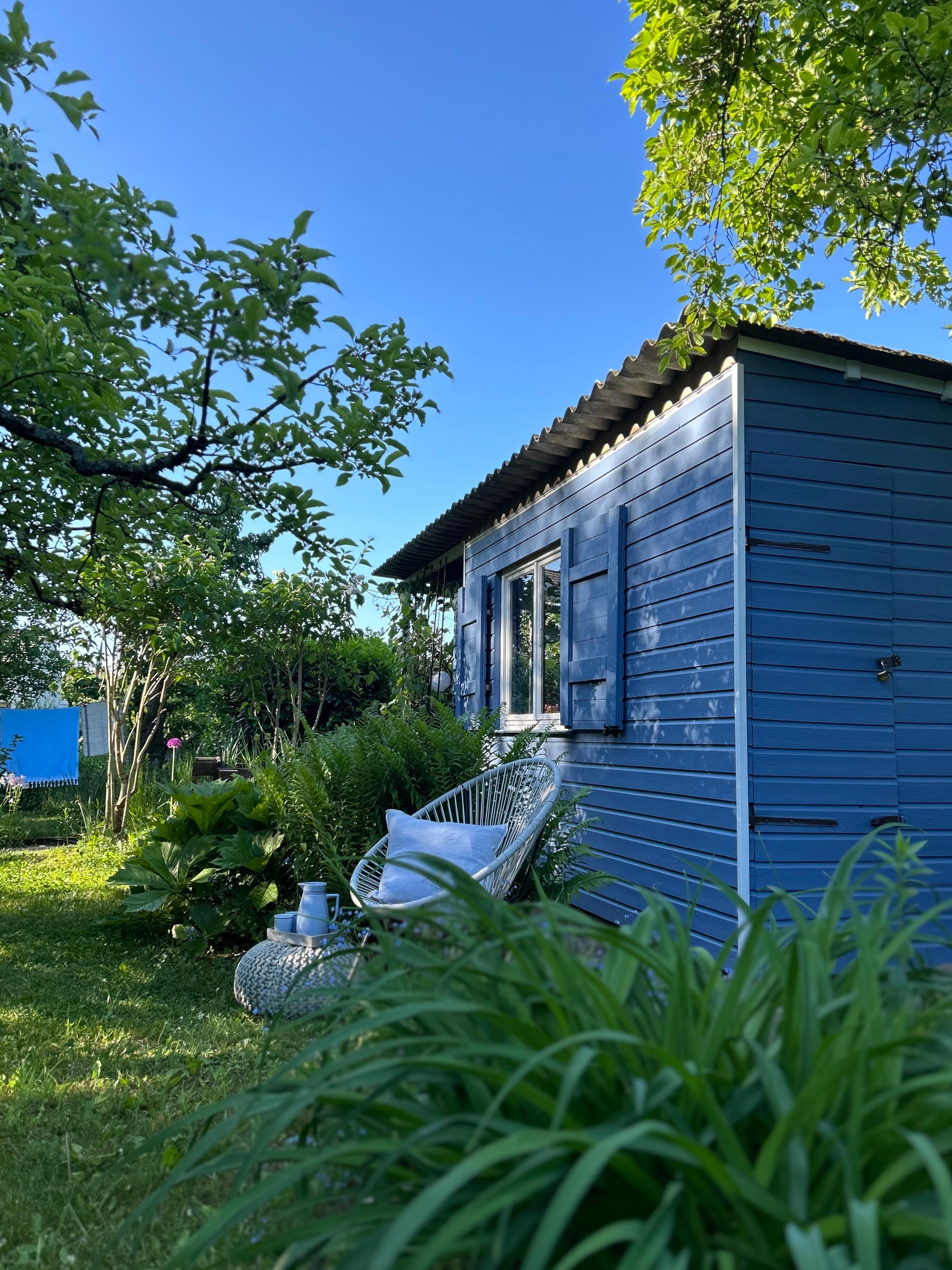 • Moments •


#kleingarten #schrebergarten #laube #gartenhaus #laube #taubenblau #garteninspo #einrichtungsideen