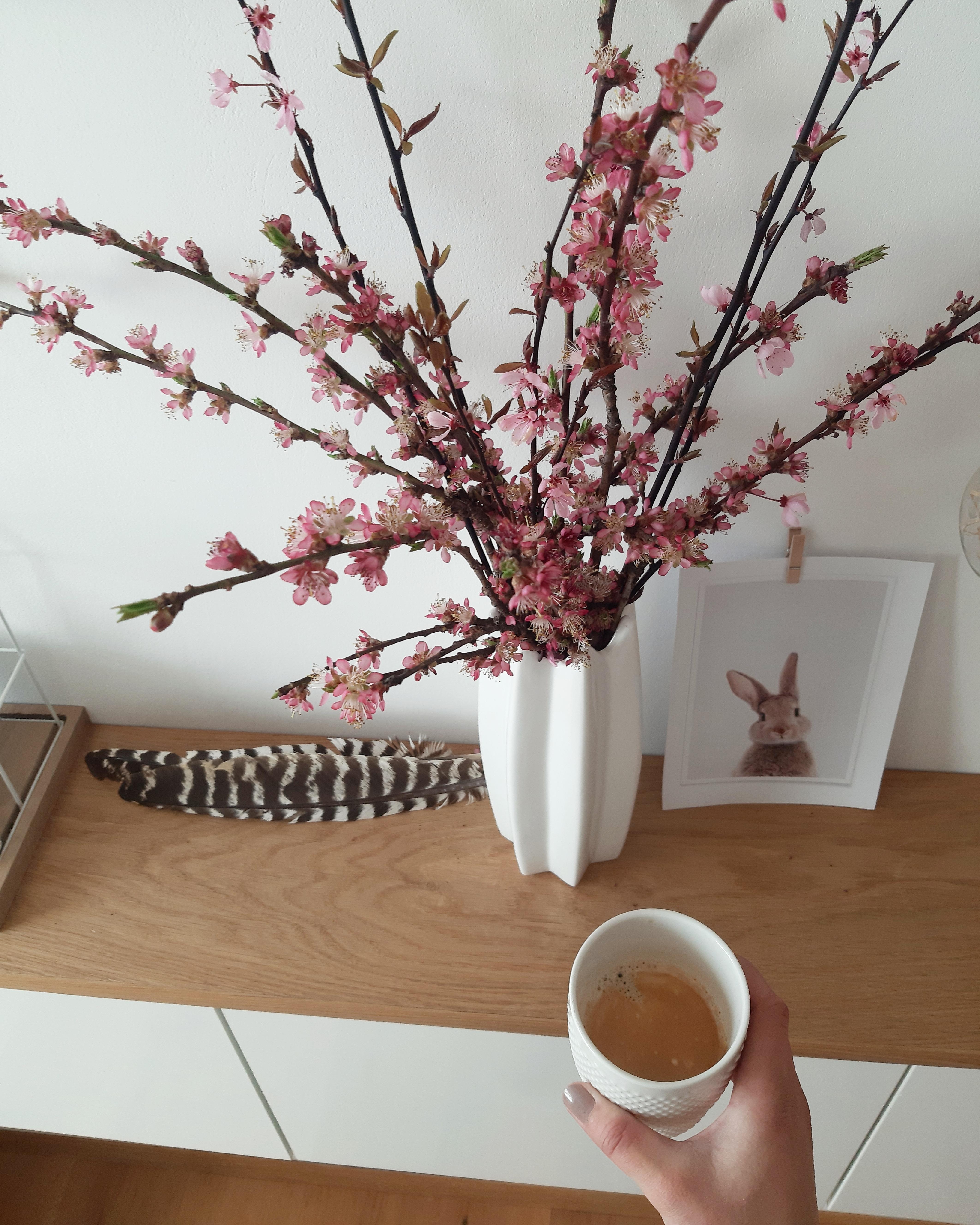 🌸🌸🌸
#skandistyle #whiteandwood #deko #flowers #livingroom #meinzuhause #skandi #hygge
