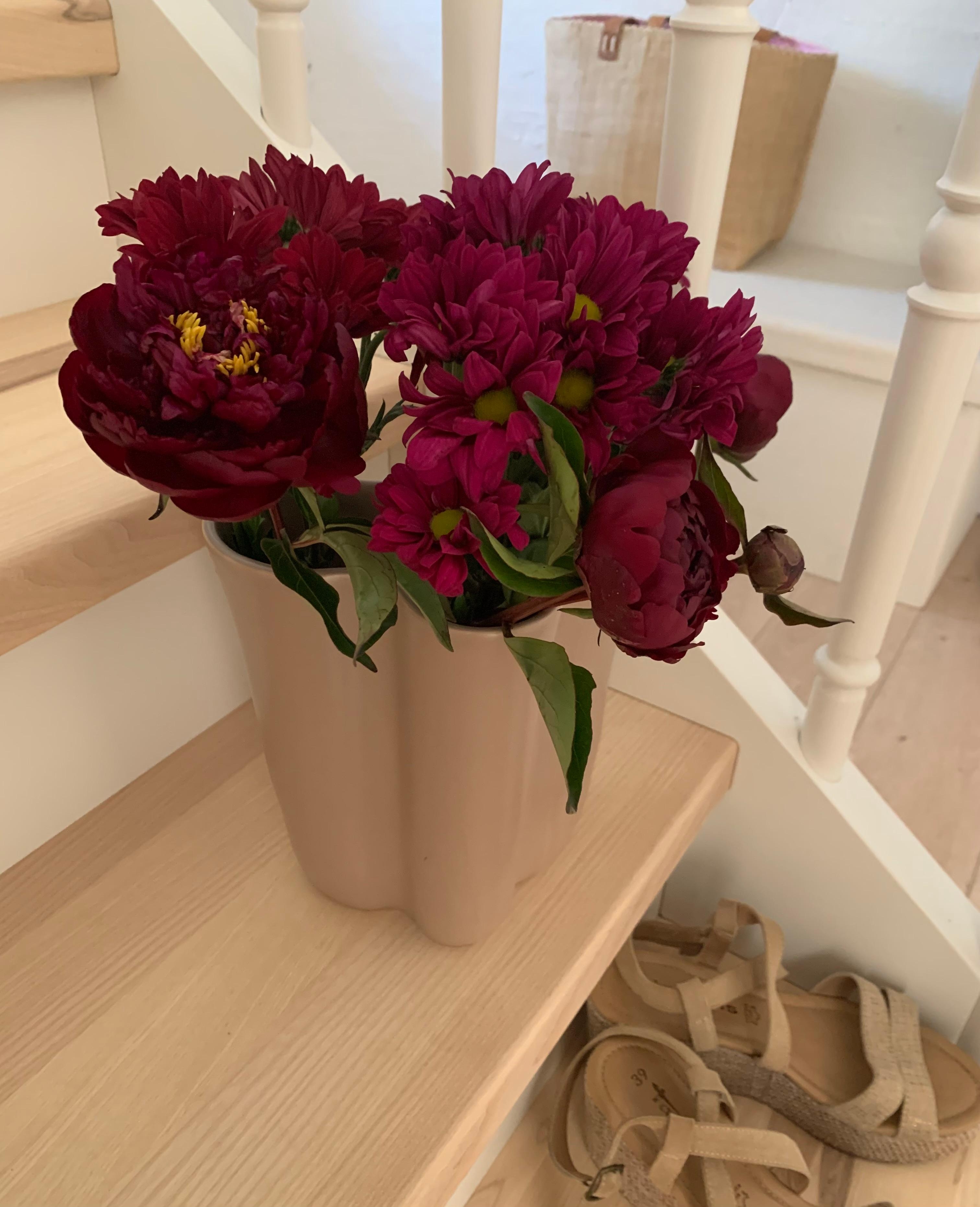 💃🏼✨
#Treppenhaus #Sommer #Blumen