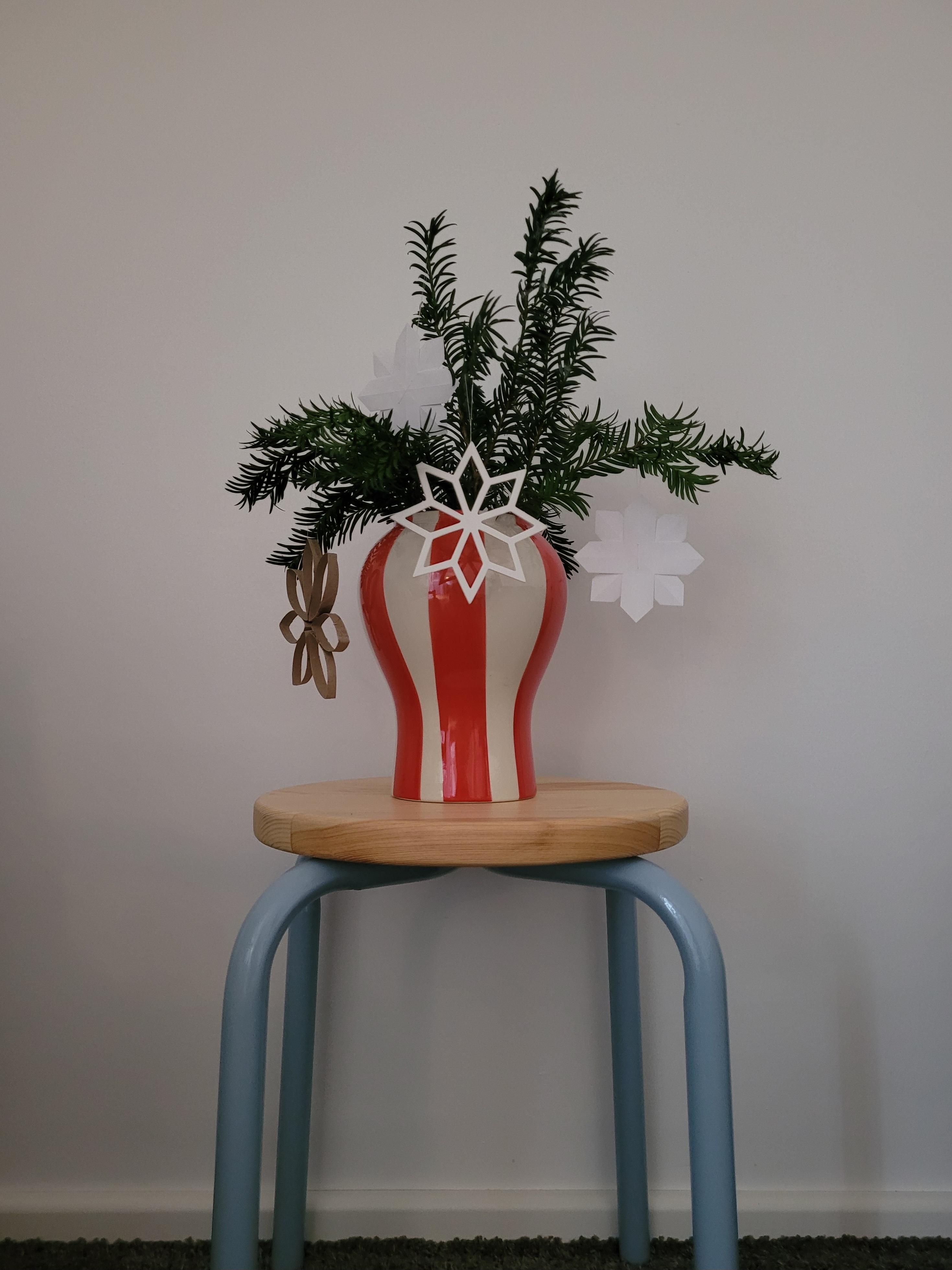 ⭐️
#Vase #weihnachtsdeko #Tannenbaum #Tanne #Stern #Wohnzimmer 