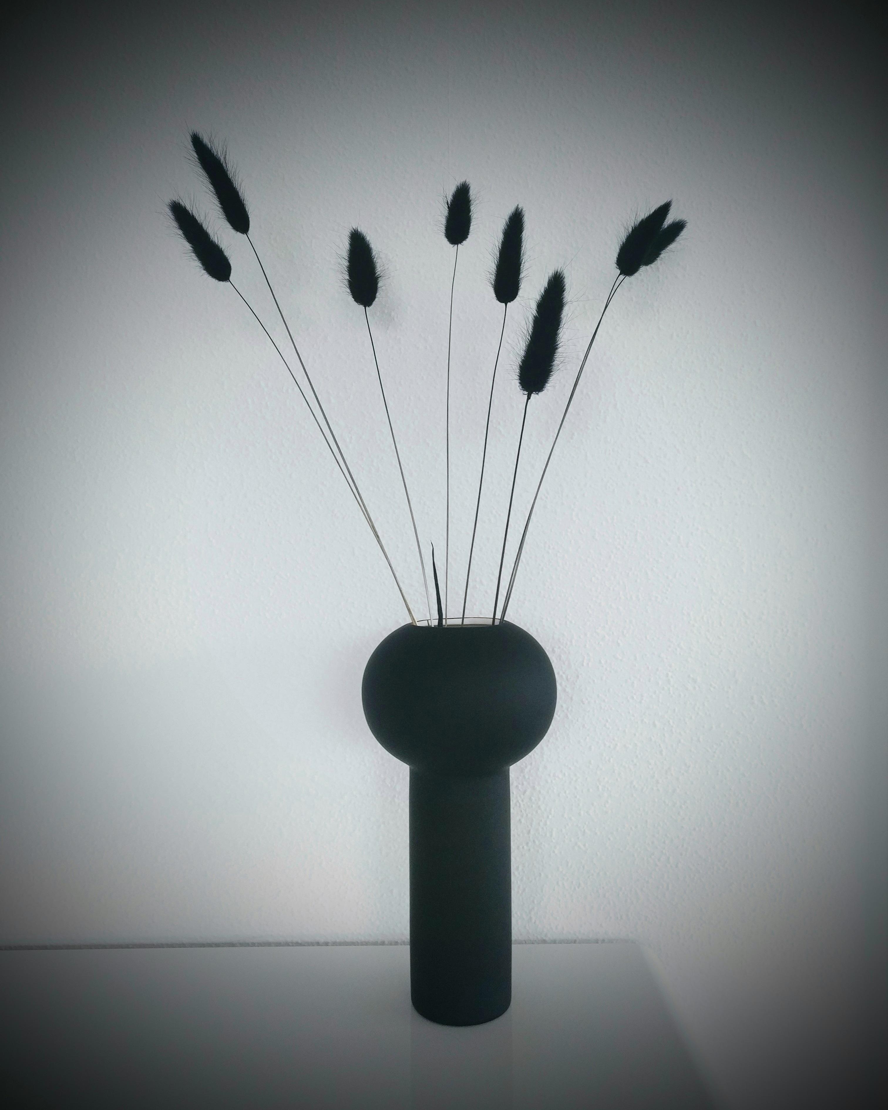 🖤
#vasen#vasenliebe#cooee#schwarzweiß#deko#interior#interiorinspo#wohnzimmer#trockenblumen