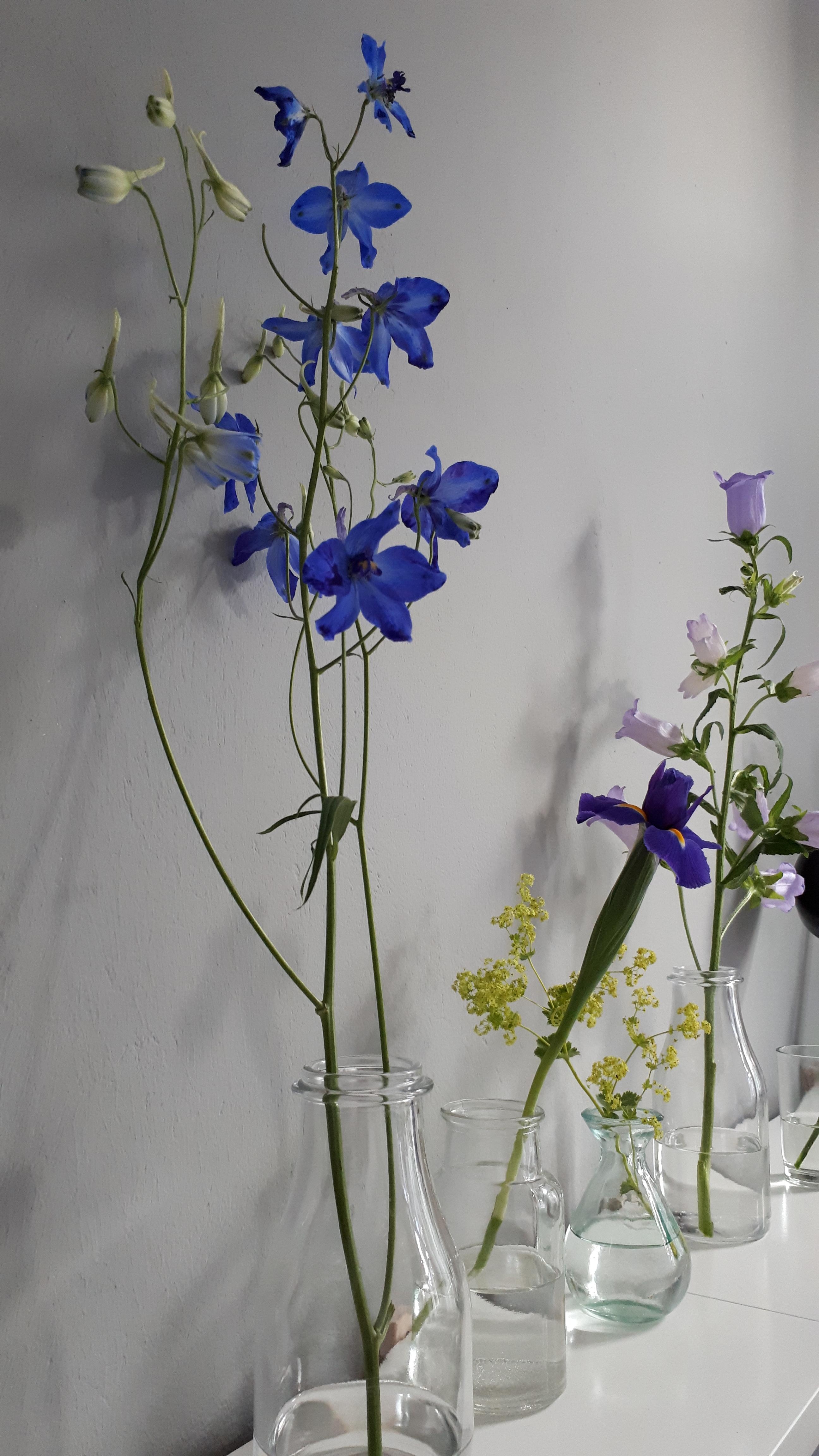 💐💐💐
#Vielfalt #Blumen #Vasen #Regal #Schlafzimmer #Wohnzimmer #Altbau #Altbauliebe #DIY