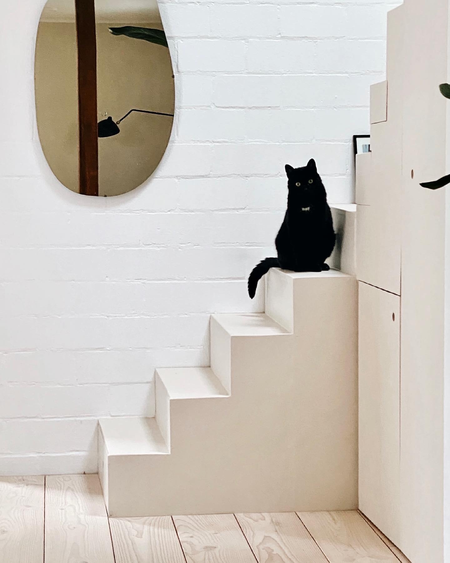 🌚 Wilma findet die selbstgebaute Treppe ziemlich prima. 
#diy #treppenliebe #minimalistisch #skandi