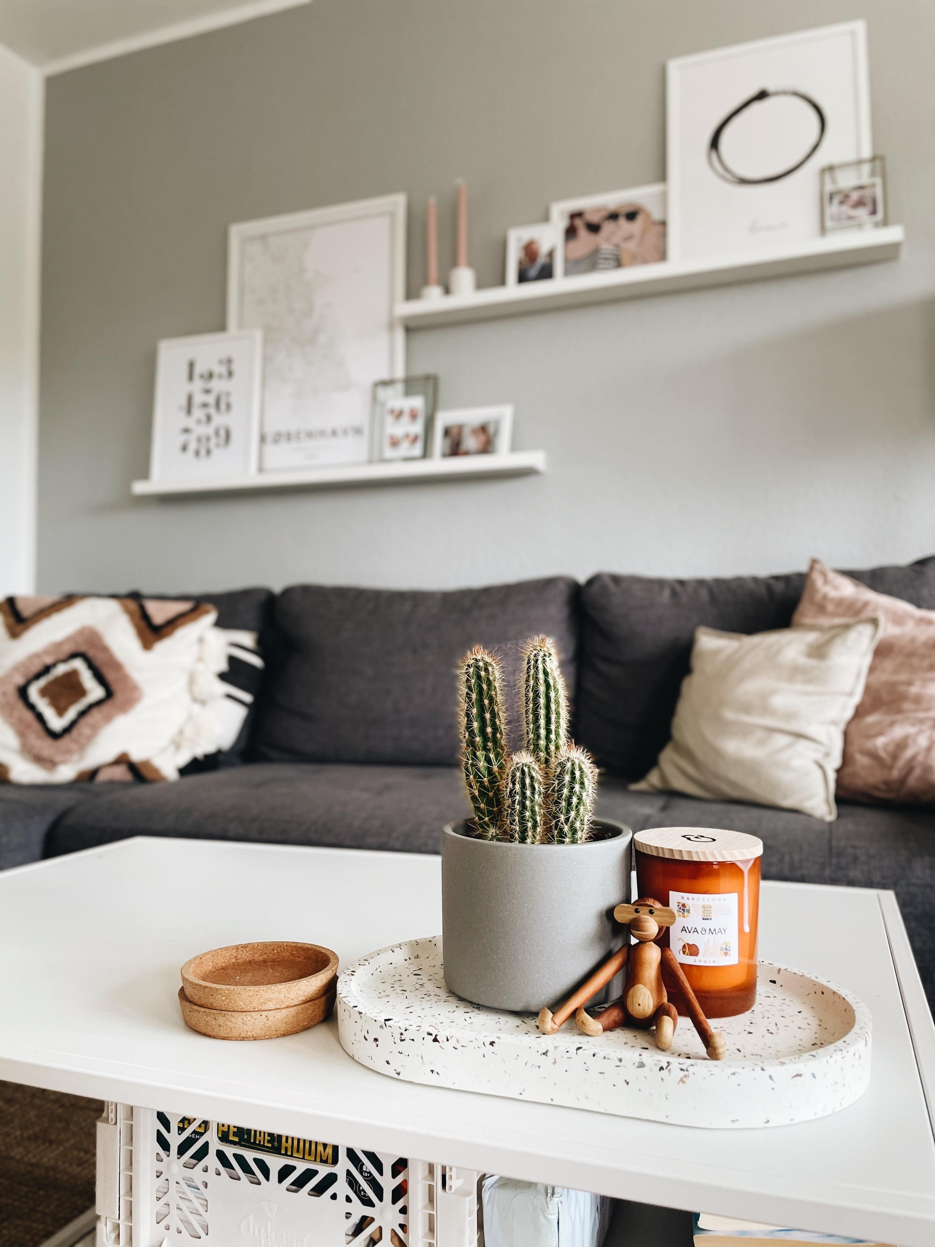 🐒
#wohnzimmer #couch #bilderleisten #couchstyle #hyggehome #pflanzen #kaktus 