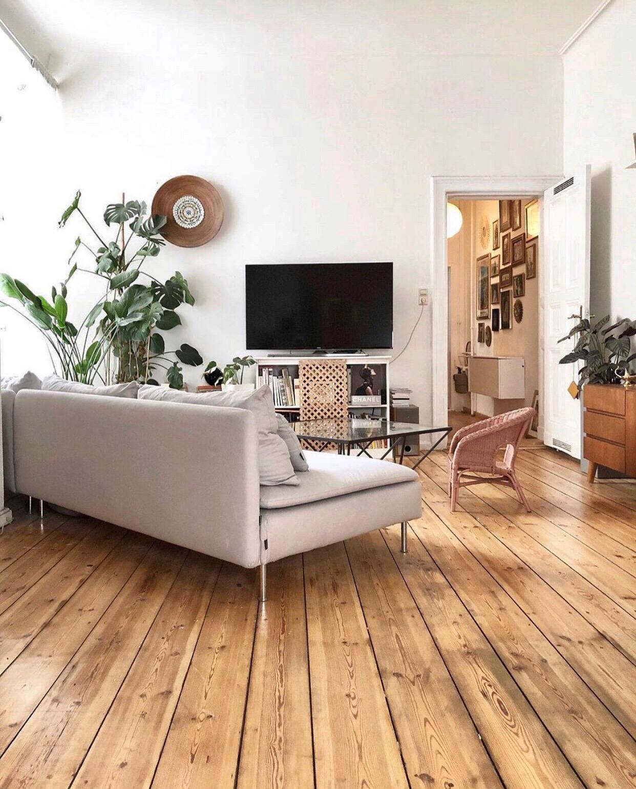 🌈 #wohnzimmer #holzboden #dielenboden #stuck #altbau #sofa #couch