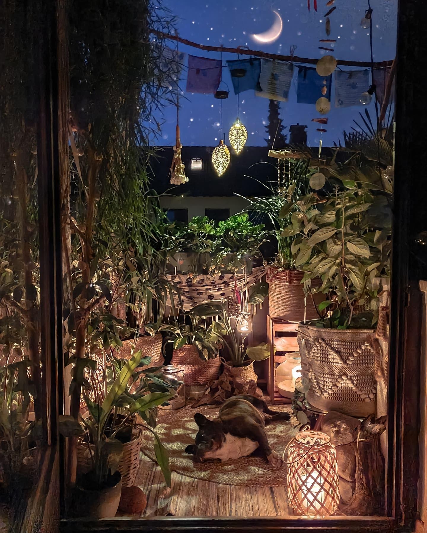 1001 Nacht 🌃  #Balkon #boho #hippie #Pflanzen #Nachthimmel