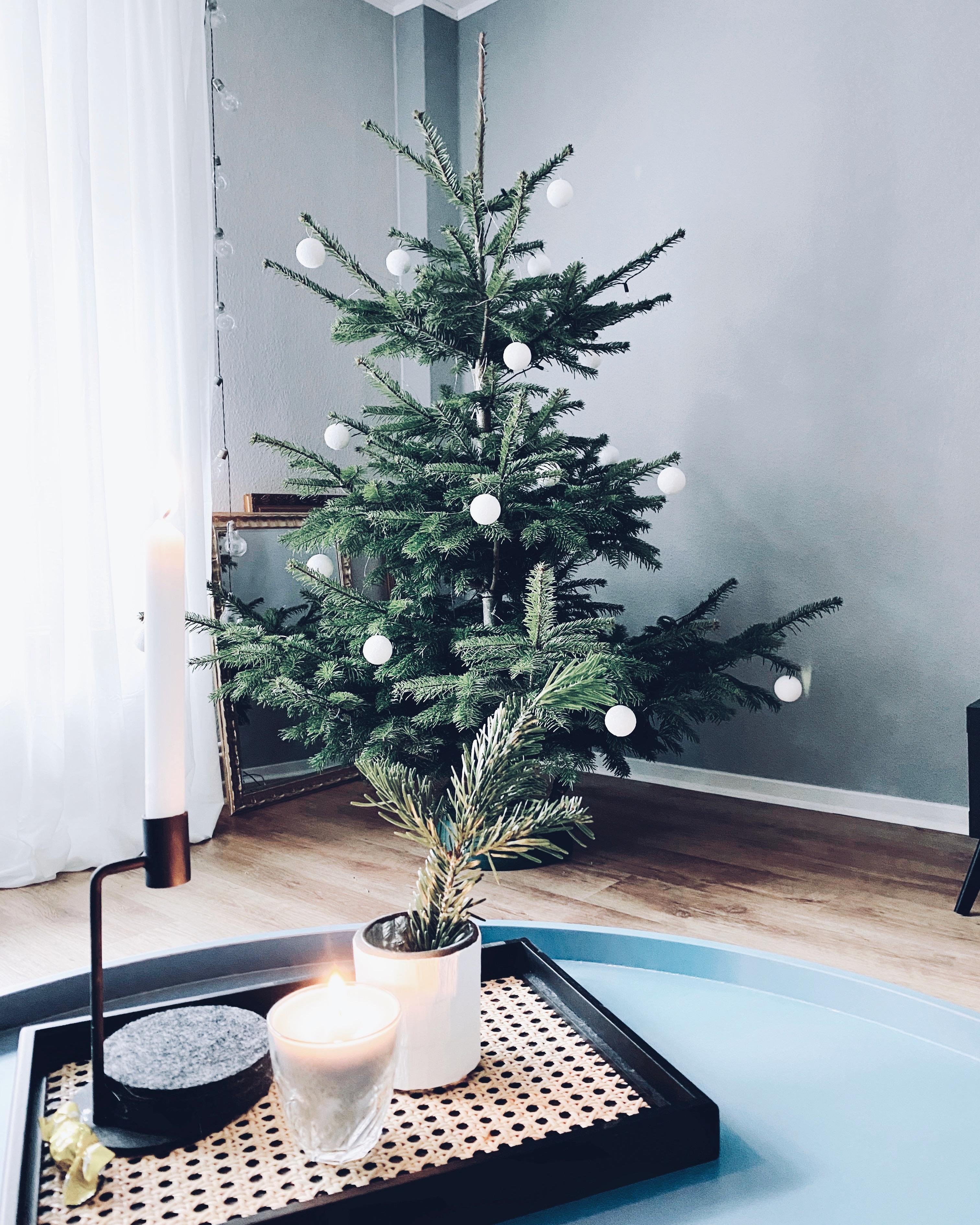 2.Weihnachtstag - es wird nur noch entspannt 😌 
#xmas #interior #weihnachtsbaum #nordicroom #scandinavianliving #hygge