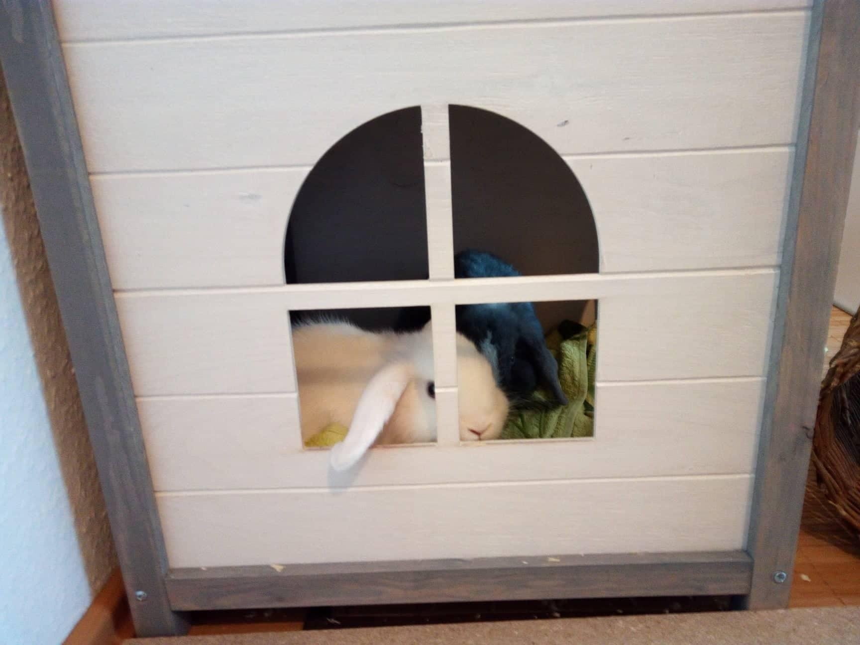 <3