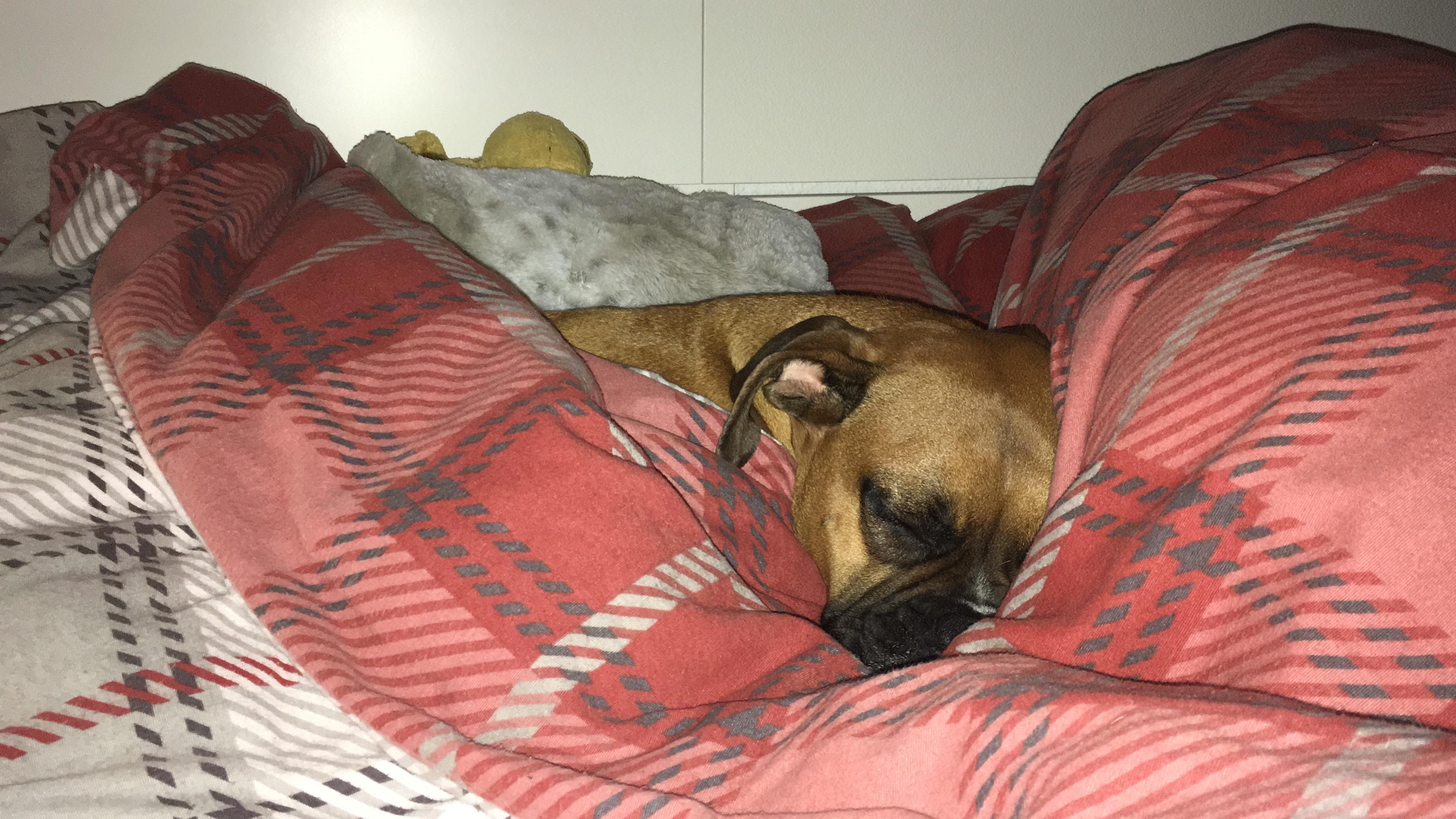 Dinge, die wir lieben