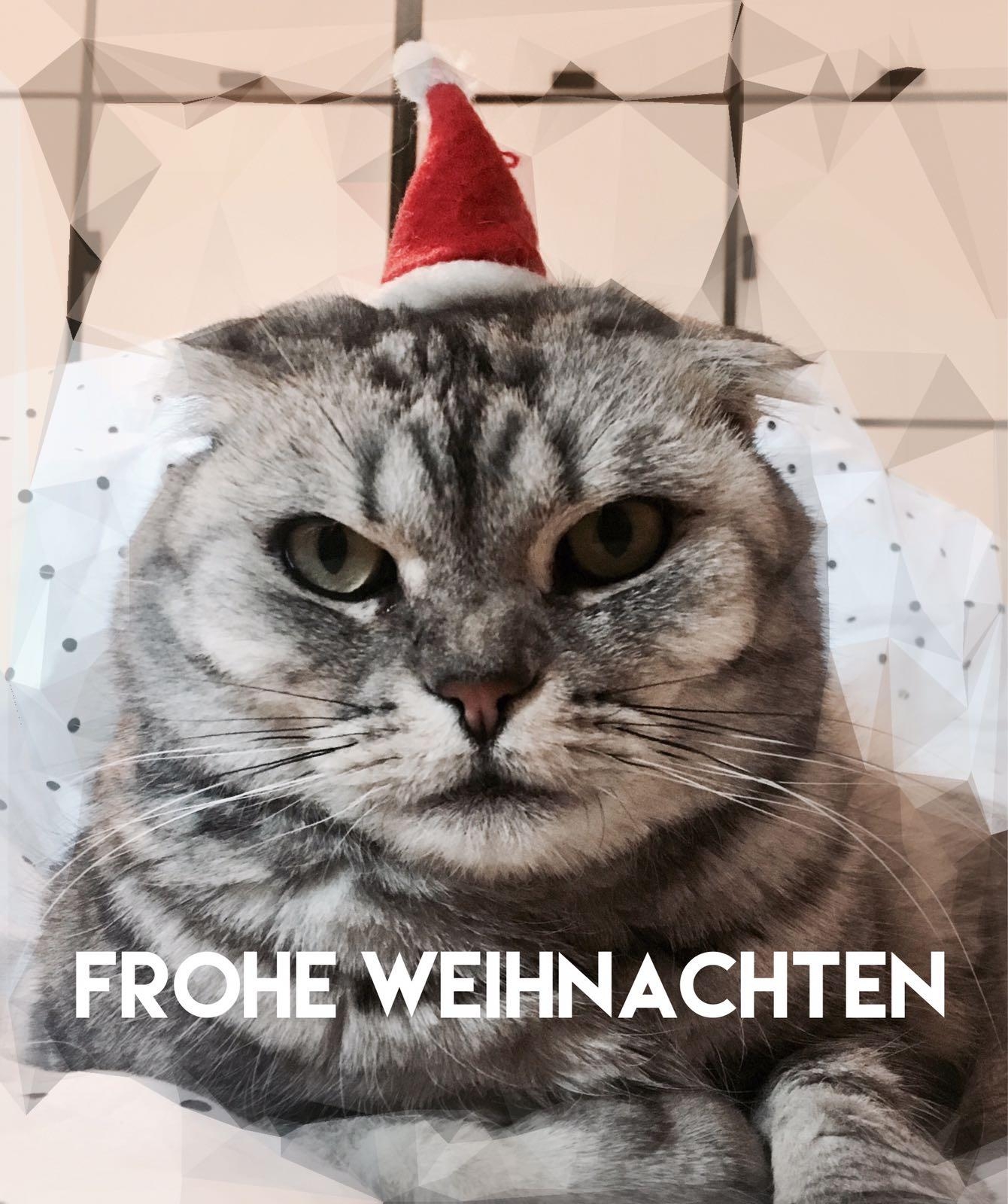 Dinge, die wir lieben