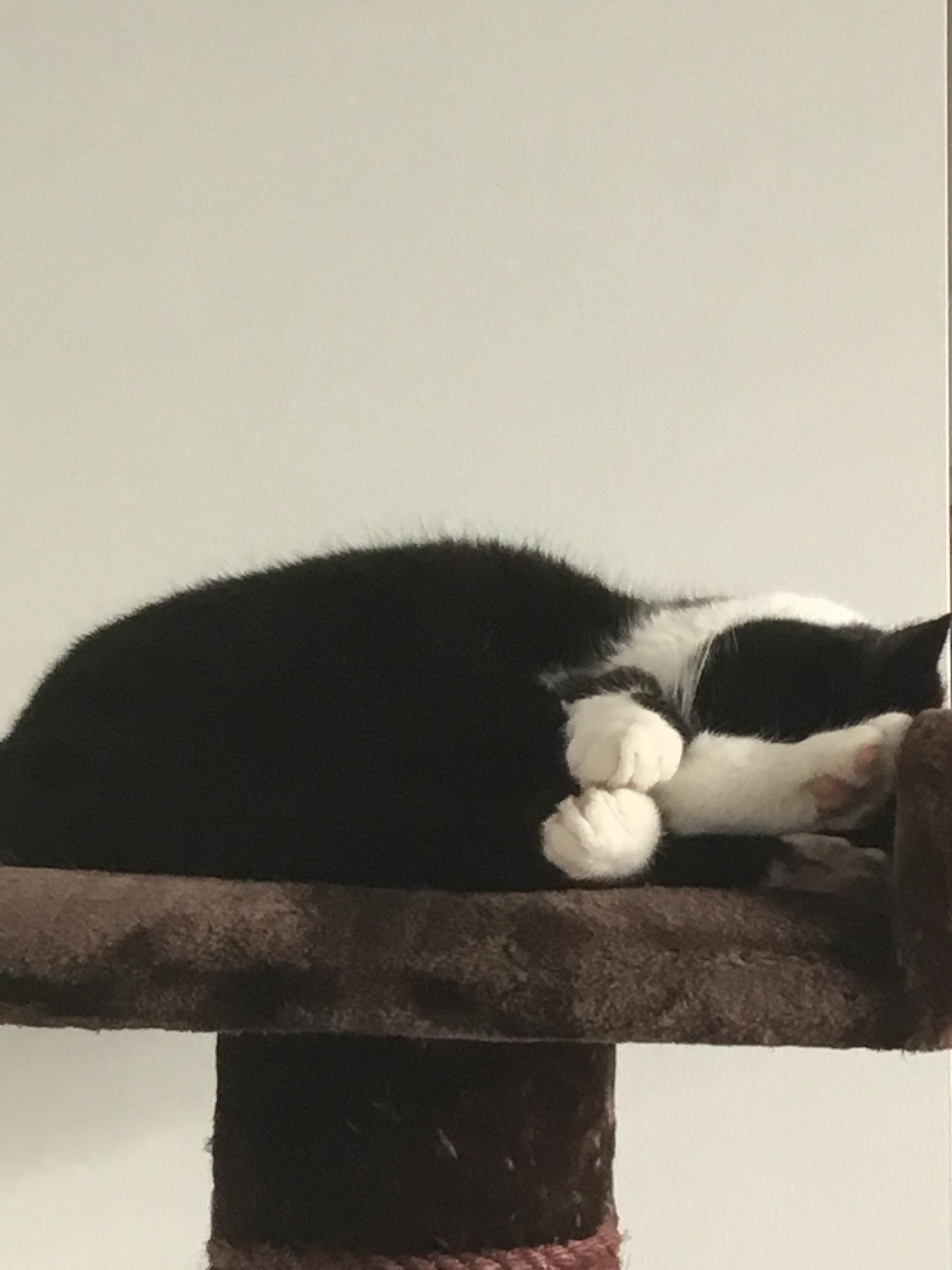 Dinge, die wir lieben