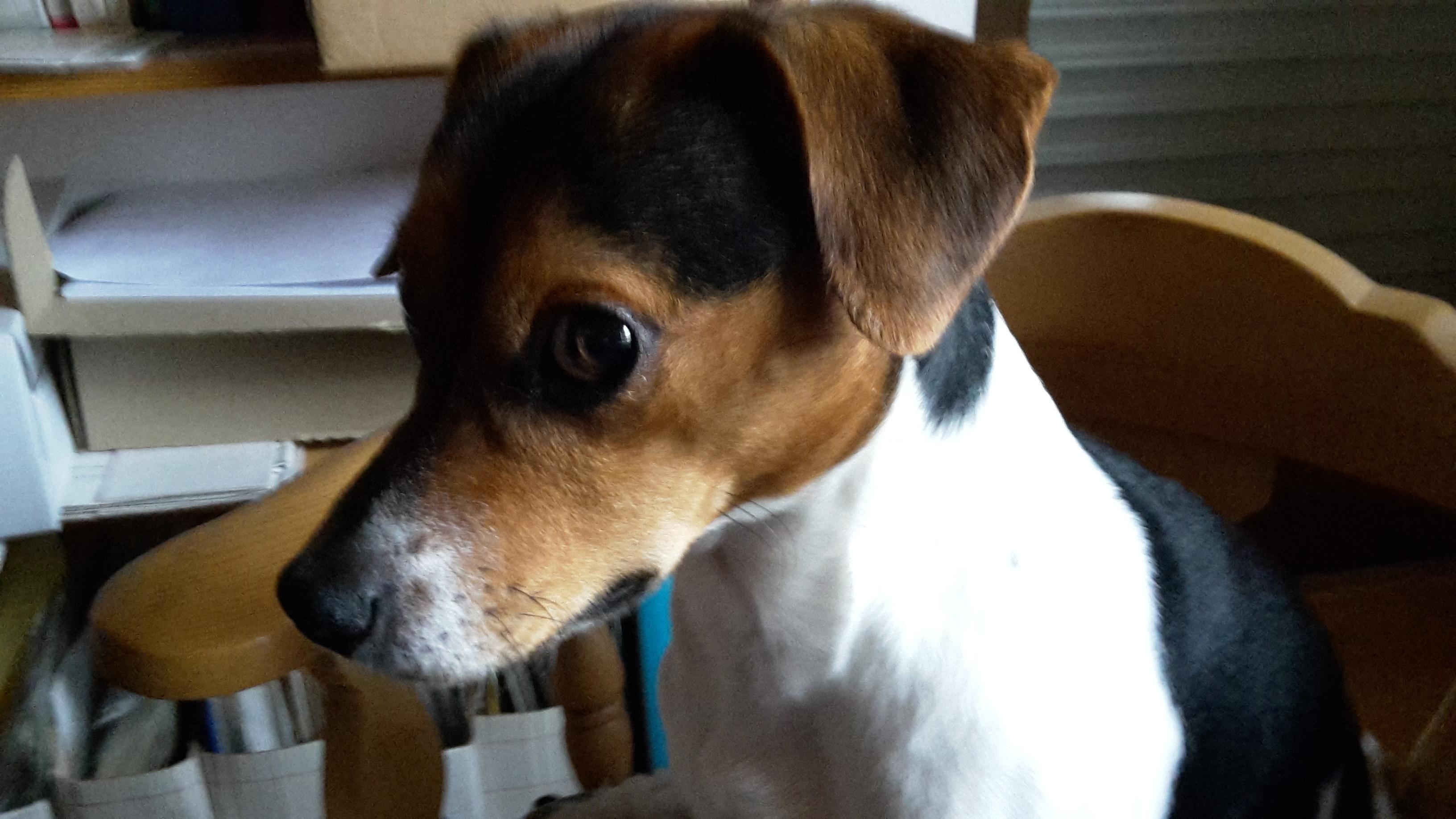 Dinge, die wir lieben