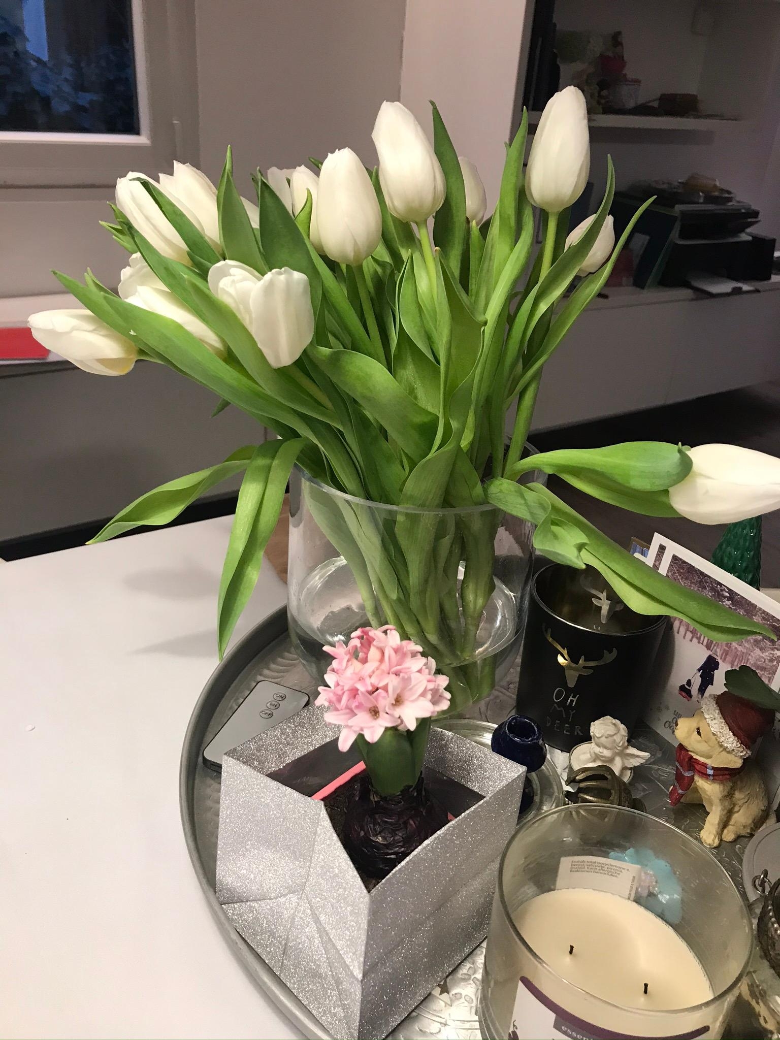 Dinge, die wir lieben