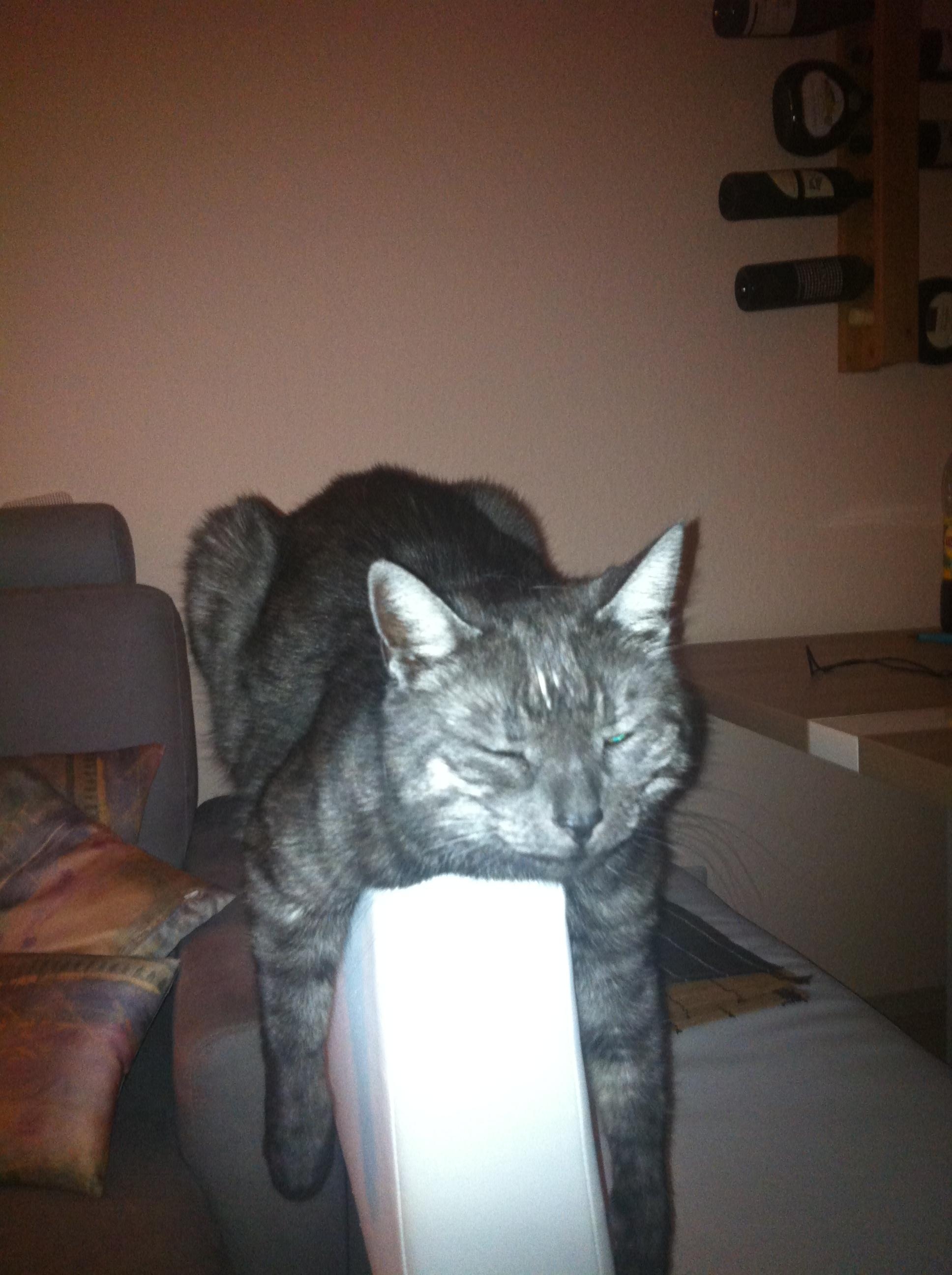 Dinge, die wir lieben