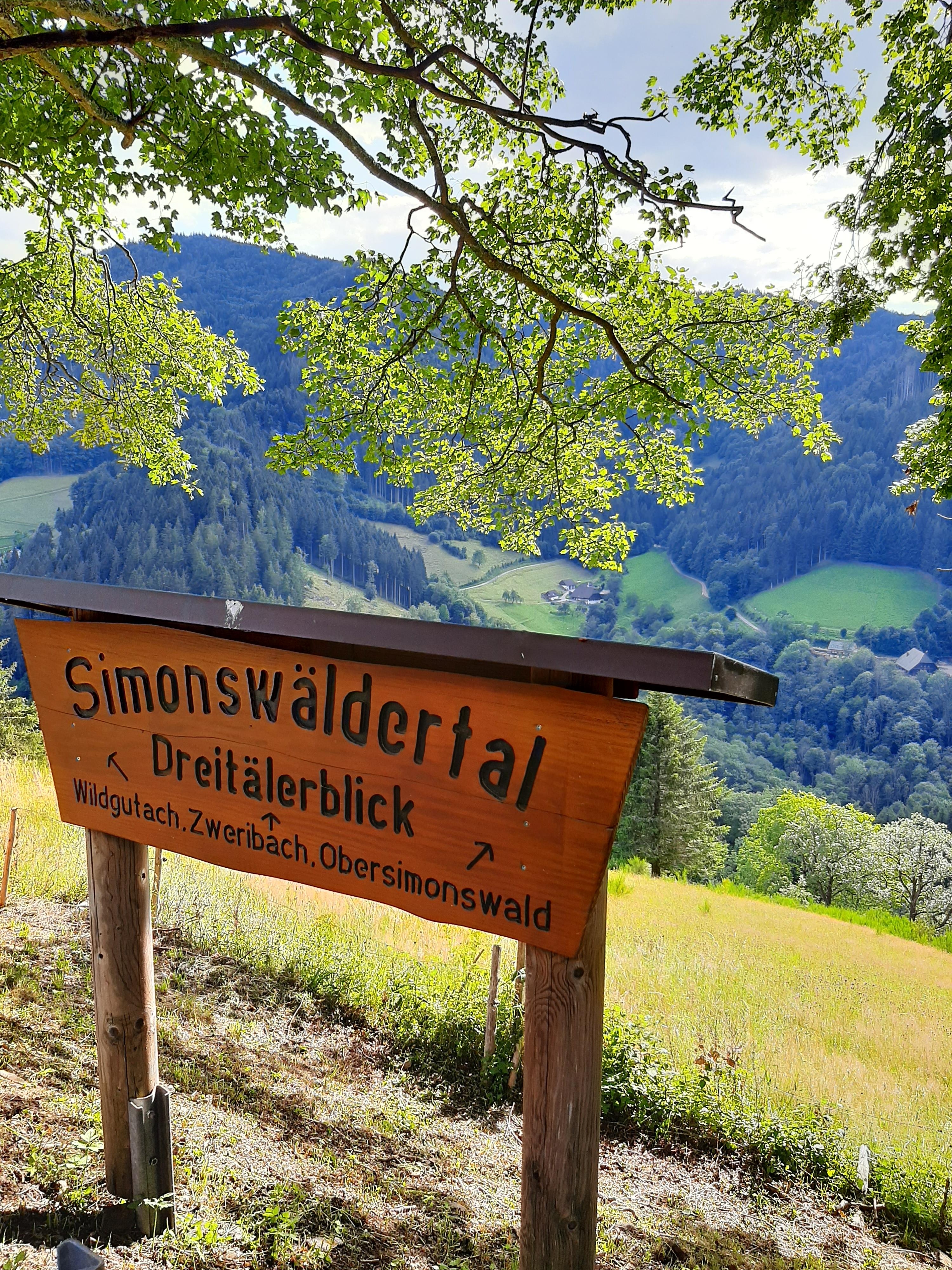 Ab in die Natur. 
#Schwarzwald #ausblick #naturliebe 