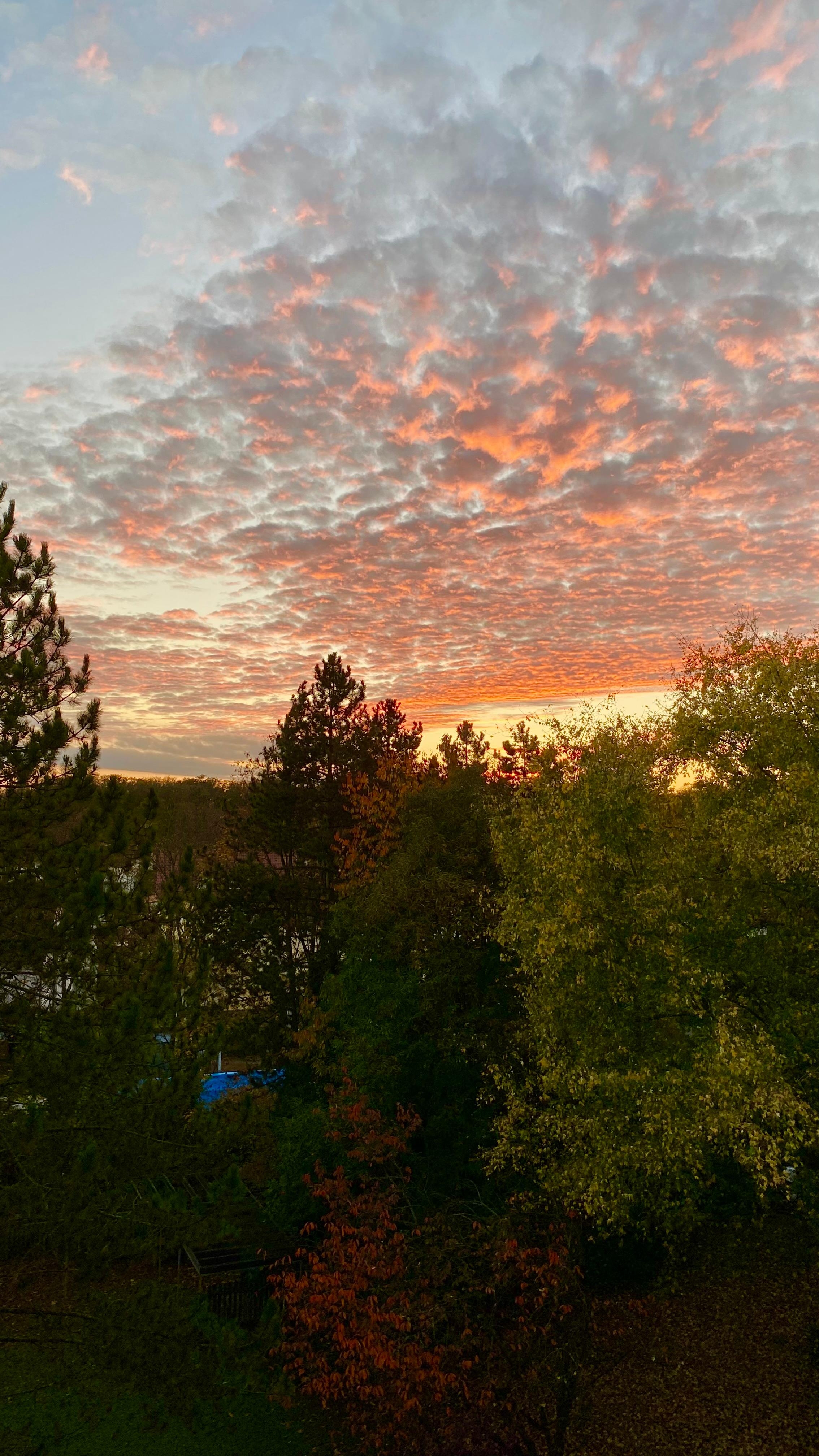 Abendhimmel vor meinem Haus 
#herbst #abendrot