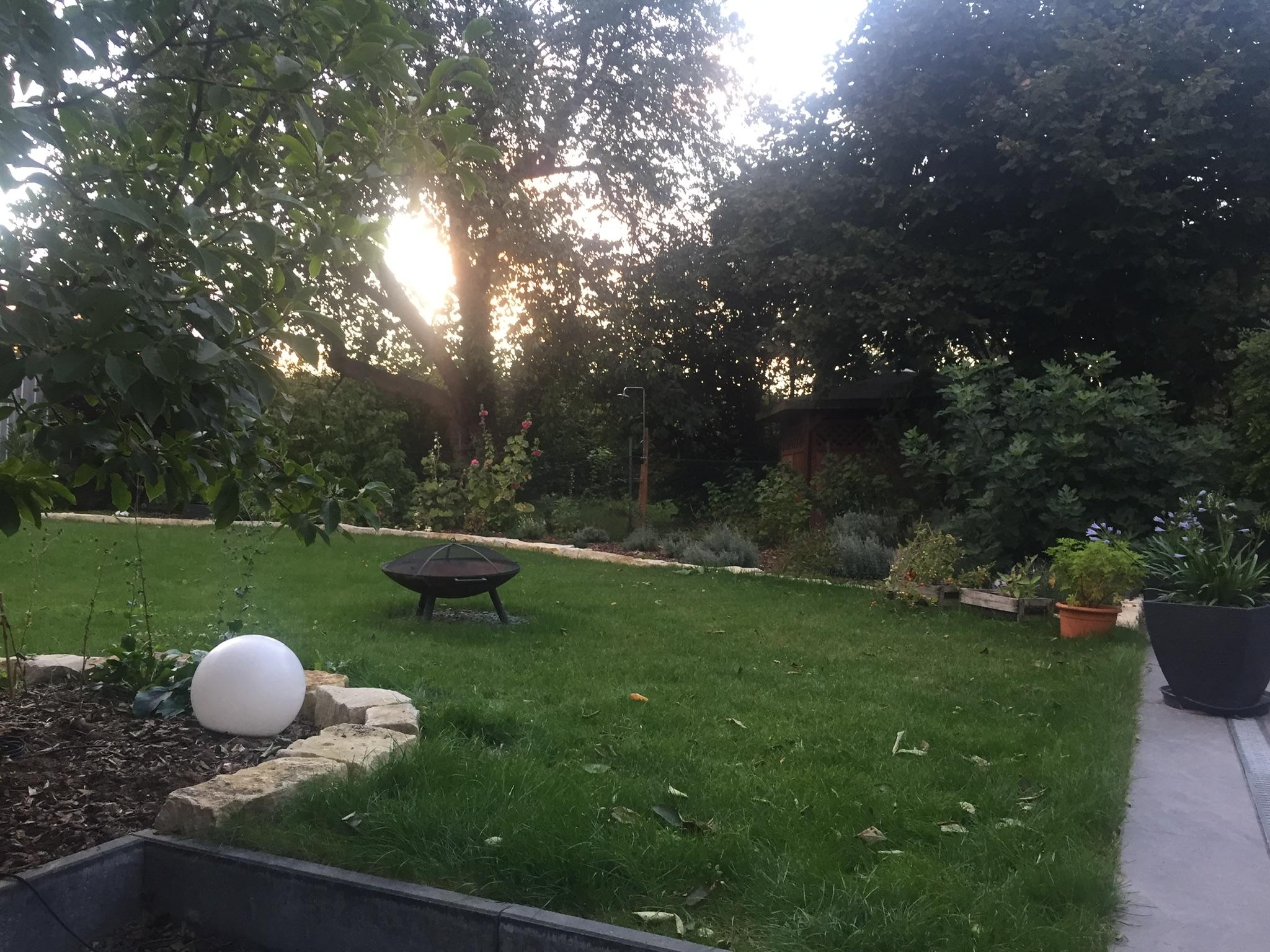 Abendruhe im Gartendsdschungel #livingchallenge #outdoor