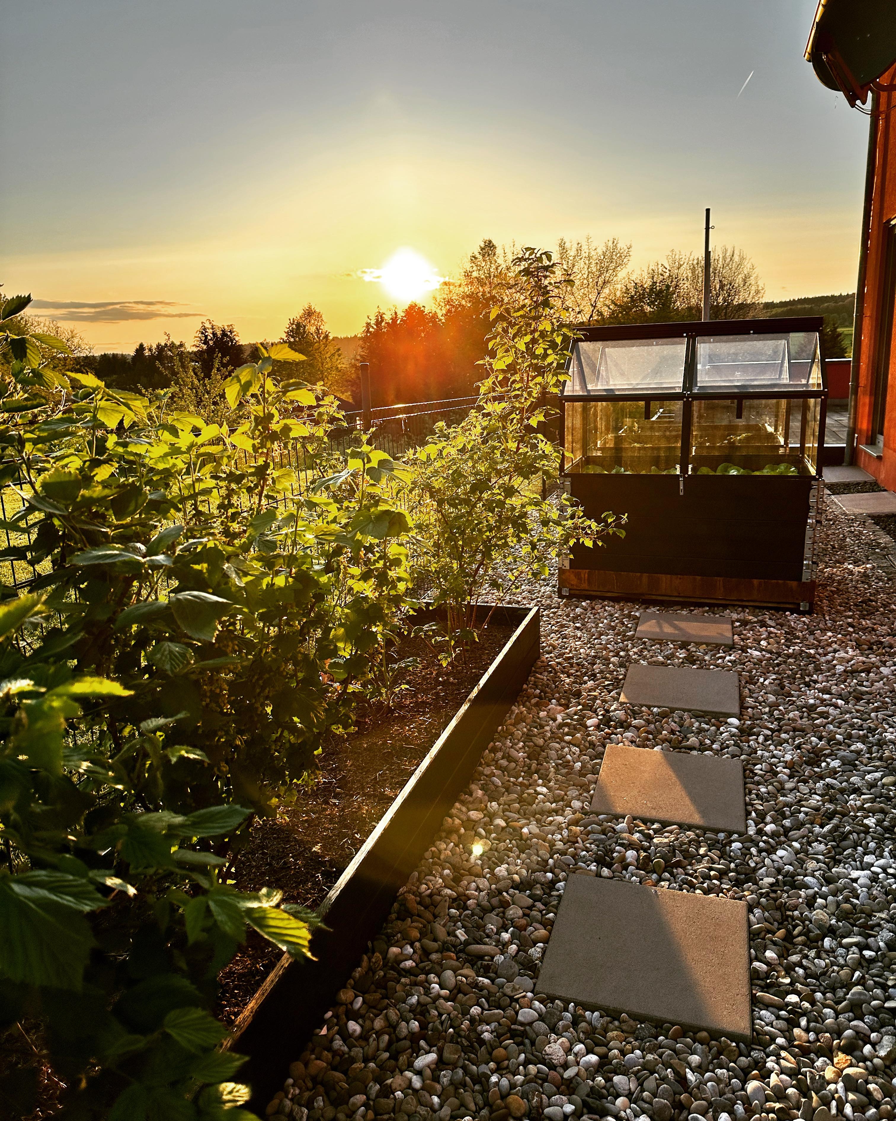 Abends im Garten #Abendstimmung #Garten #Hochbeet #Gewächshaus #DIY #Aussengestaltung 