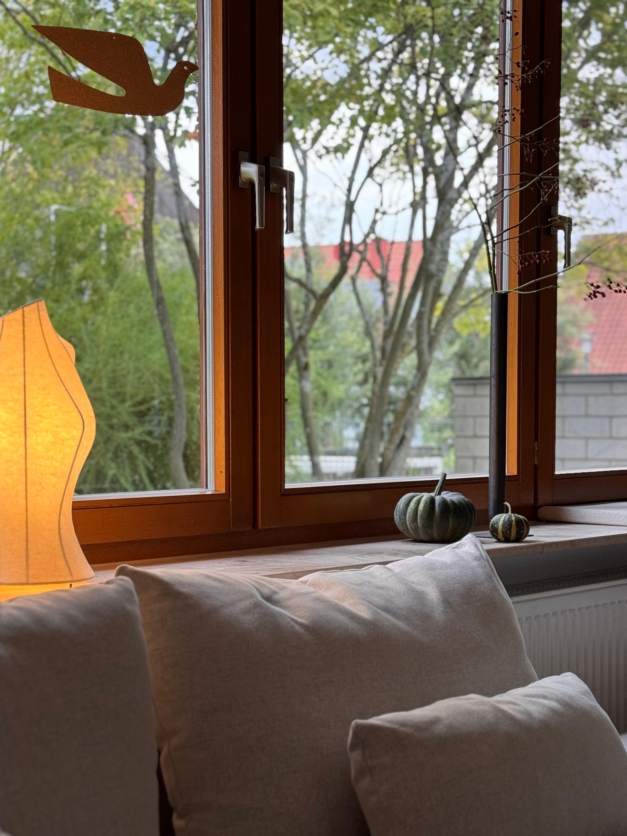 Abendstimmung. #autumnvibes #kürbiszeit #coziness