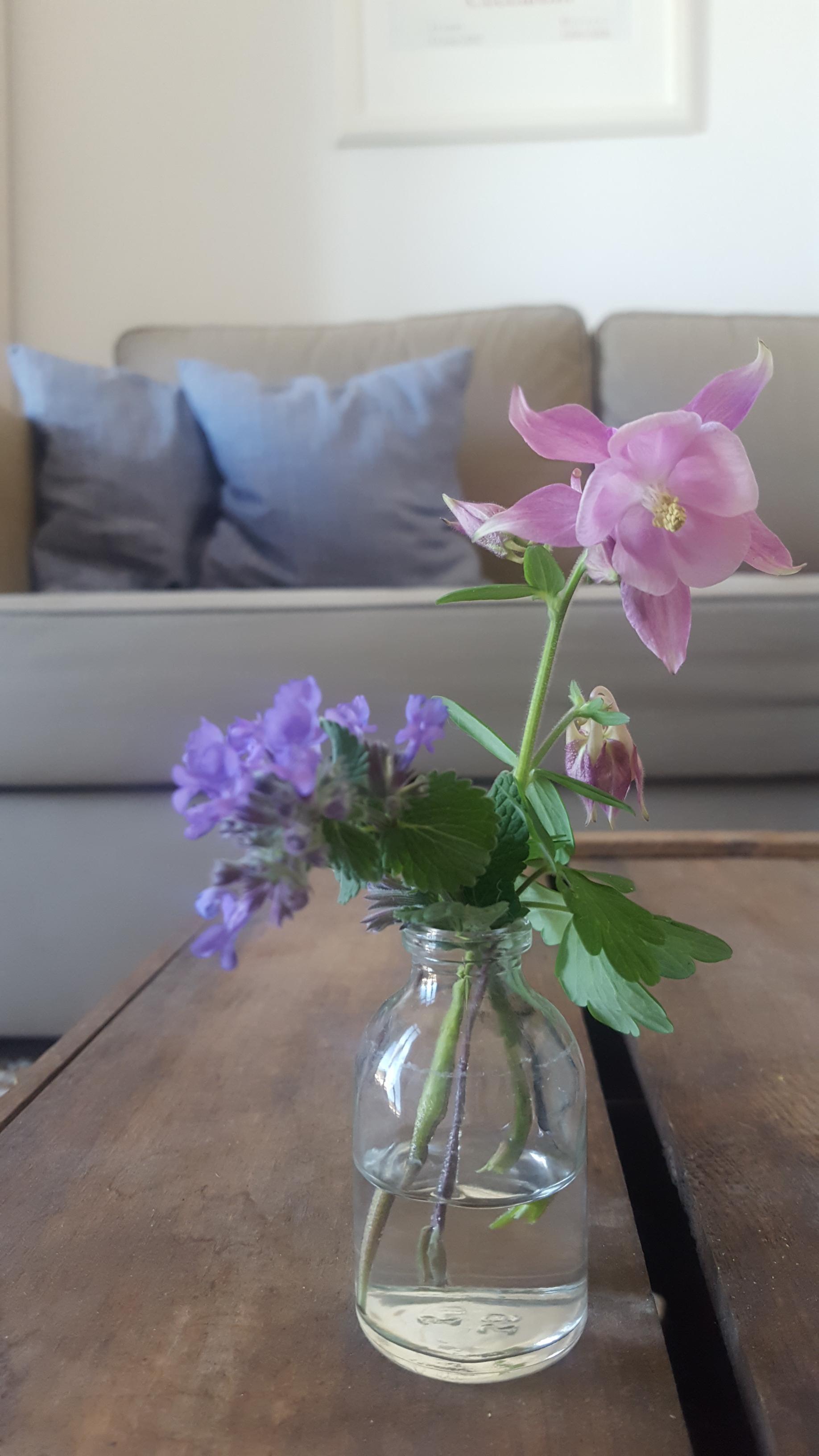 Abgebrochene Blüten vom Balkon bekommen in Mini-Vasen ein zweites Leben (Akelei, Katzenminze).