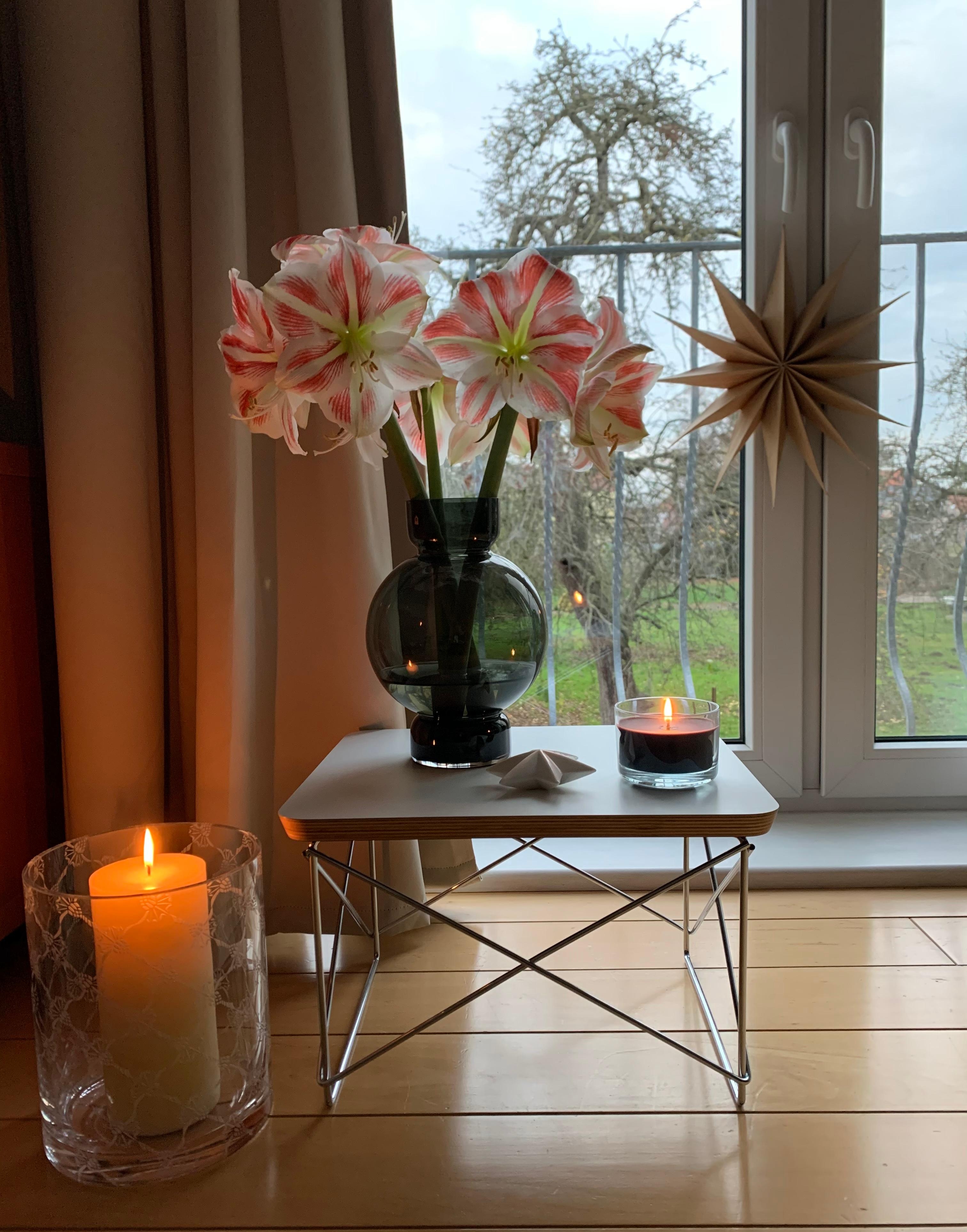 #adventsdeko #amaryllis #homesweethome #stern #kerzenschein 