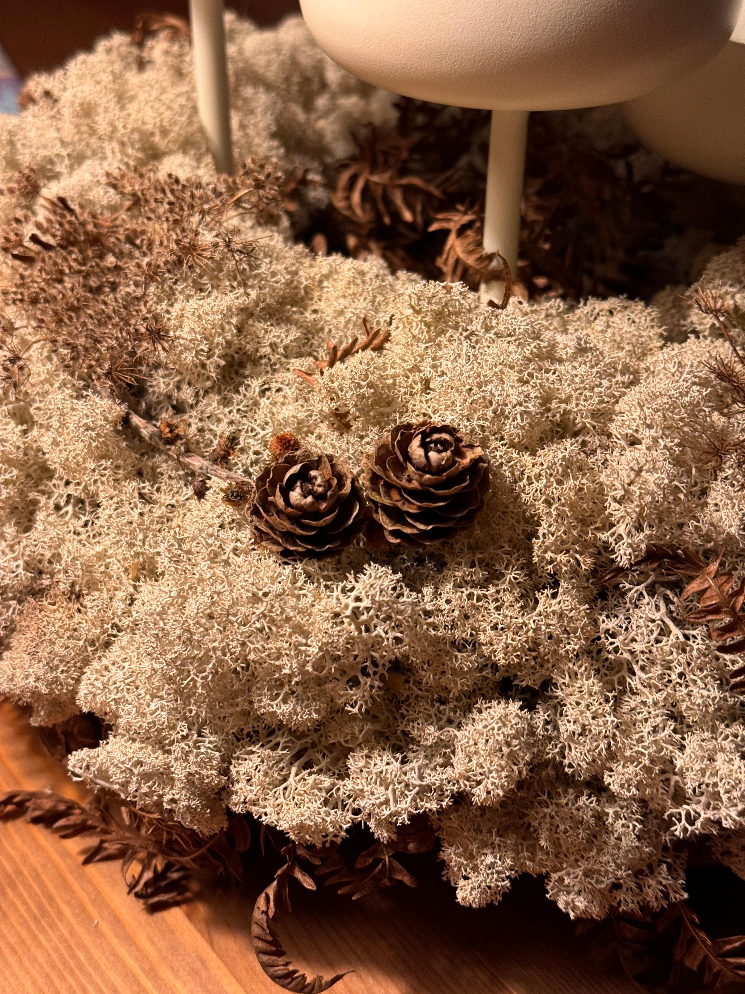 Adventskranz 2024. #naturpur #diy #vorfreude #sneakpeek 