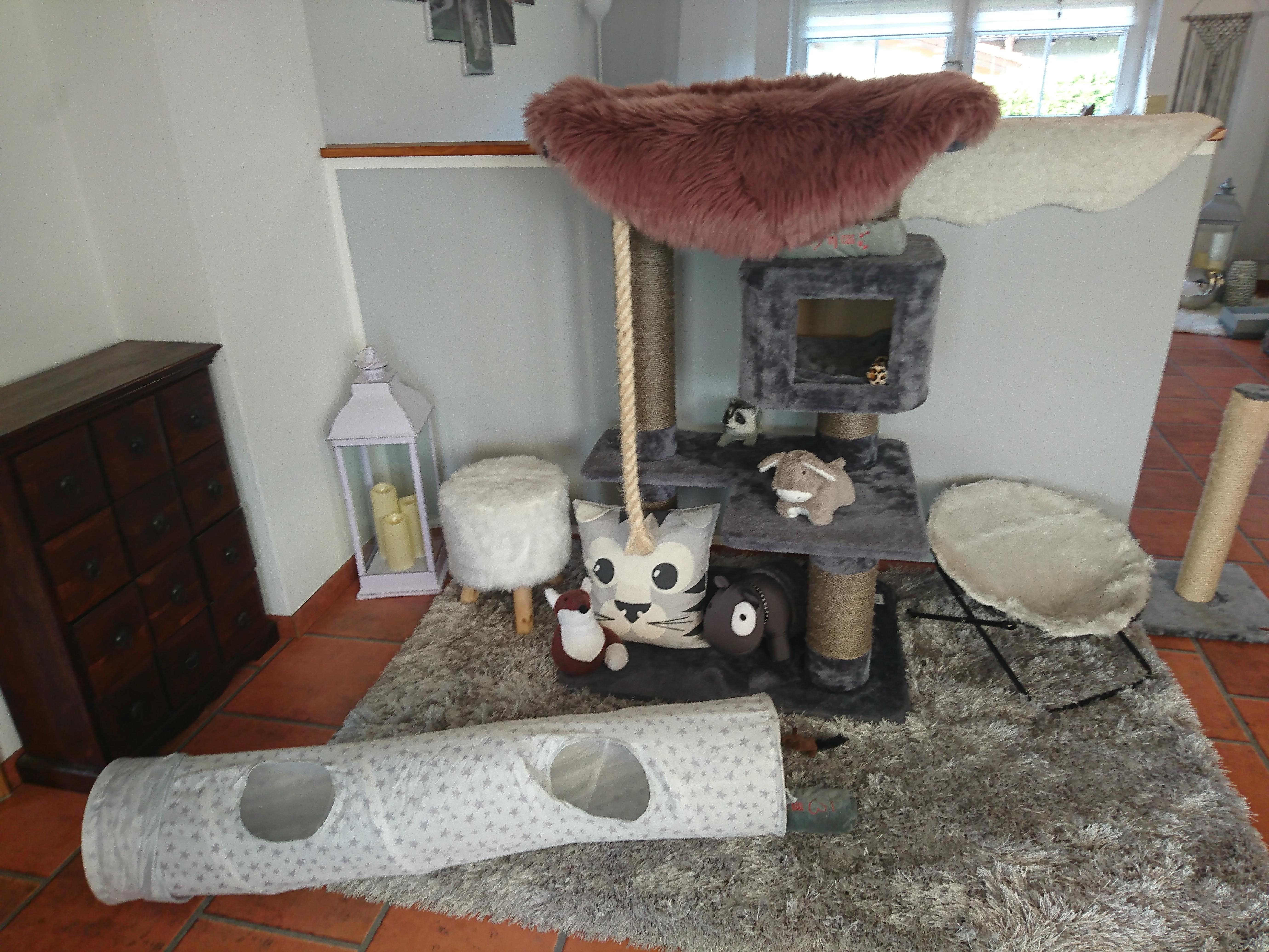 Alles für die Katz :DKatzenparadies etwas umgestaltet #wohnzimmer #grau #kunstfell #katze #teppich
