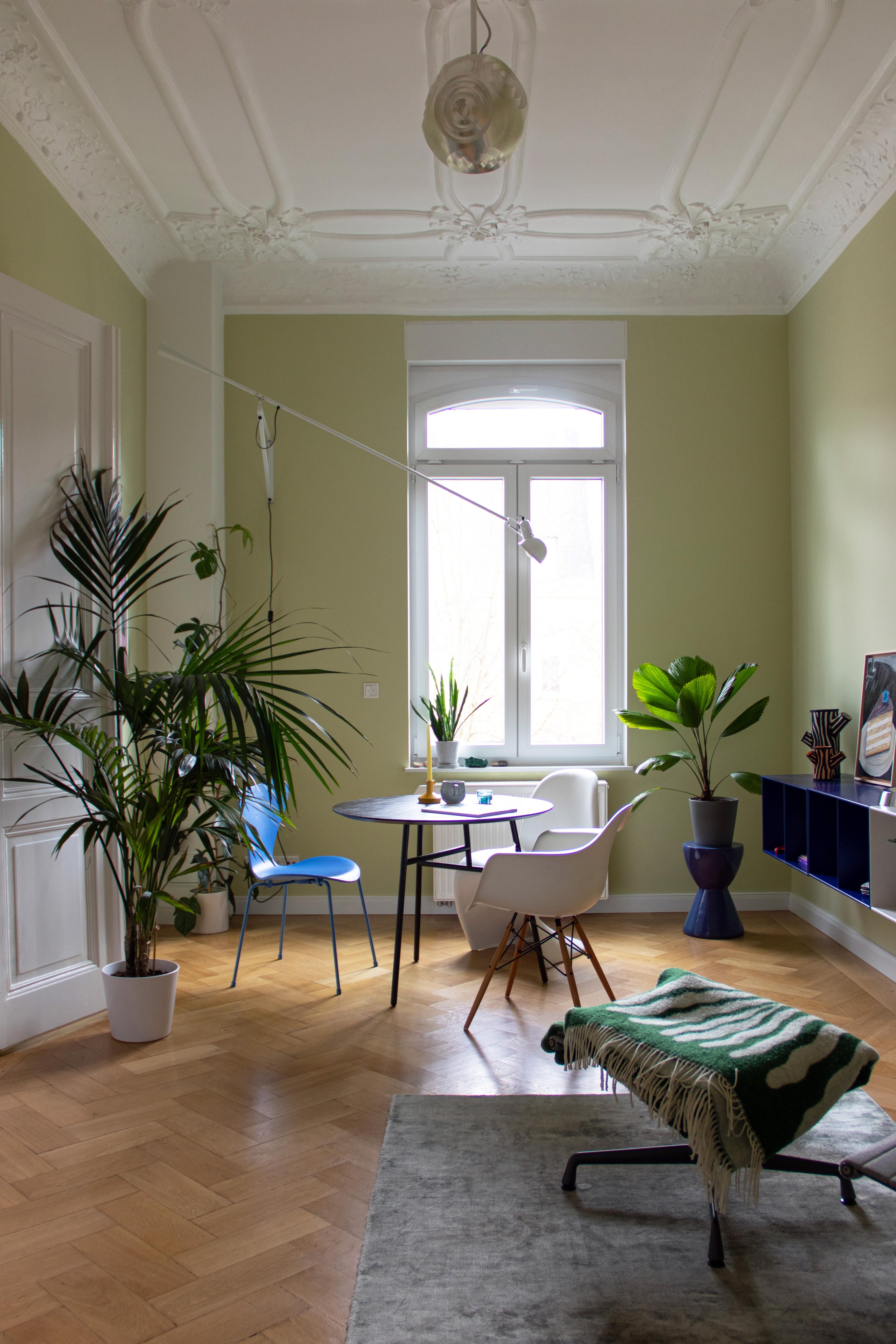 #Altbau #Stuck #Grün #Pflanze #Palme #Esszimmer #Esstisch #Farbe #Couchliebt #Couchstyle