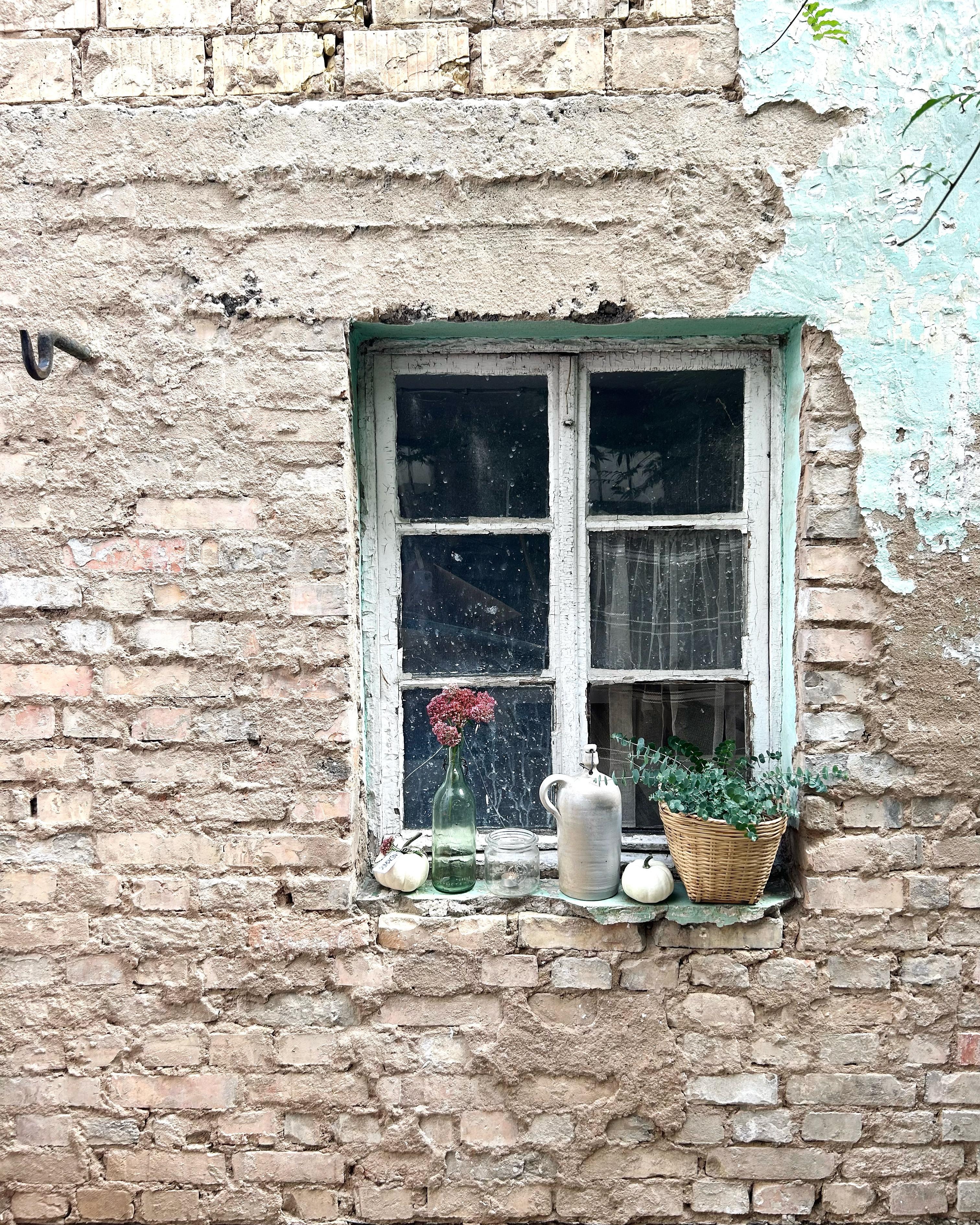 Alter Taubenschlag 🤍 #vintage #herbst #herbstfarben #kürbis #eukalyptus #altesfenster #altbau #backsteine #sedum
