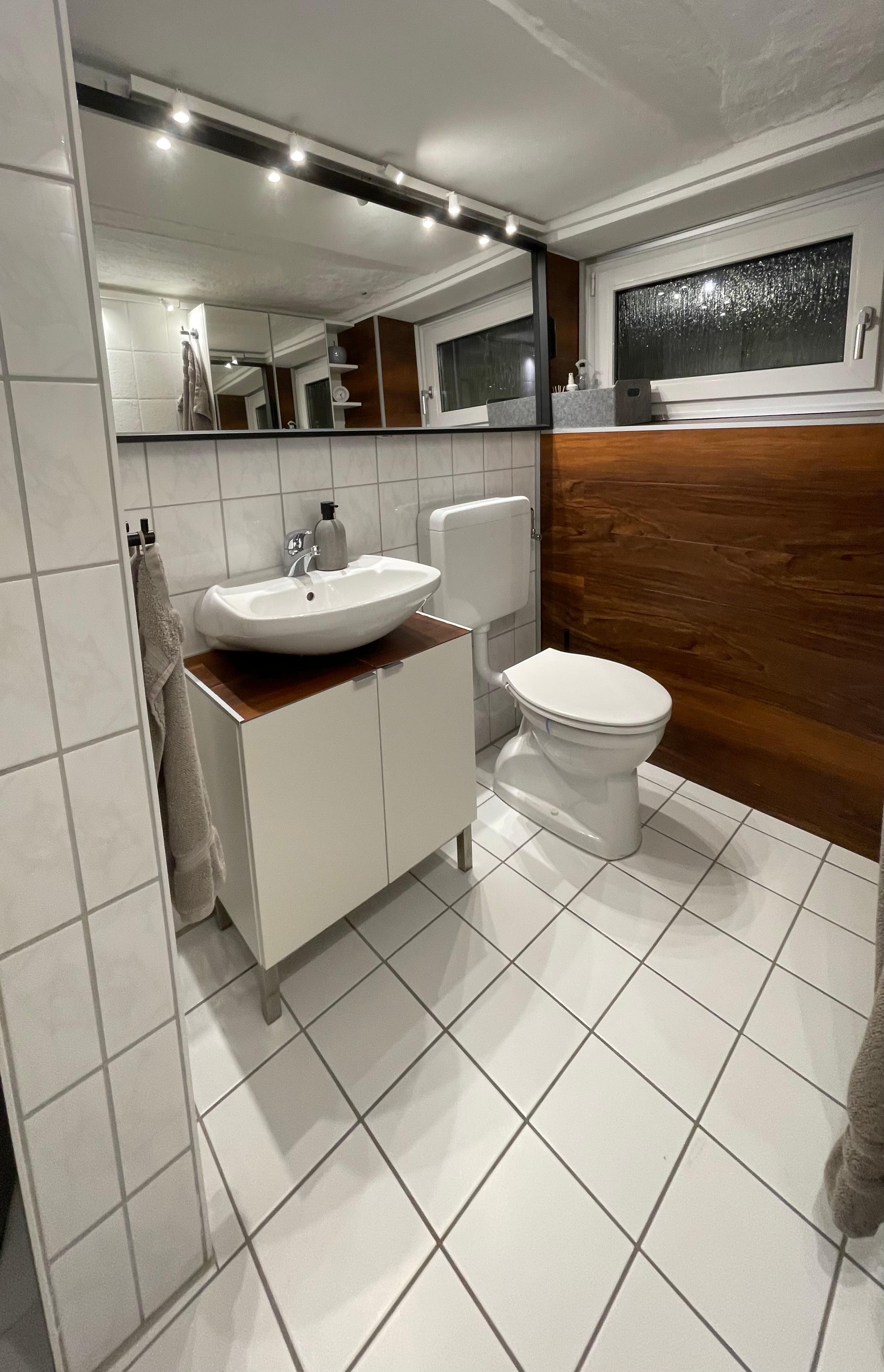 Altes Keller-Gäste-WC aufgepeppt #gäste #wc #dusche #keller #renovieren