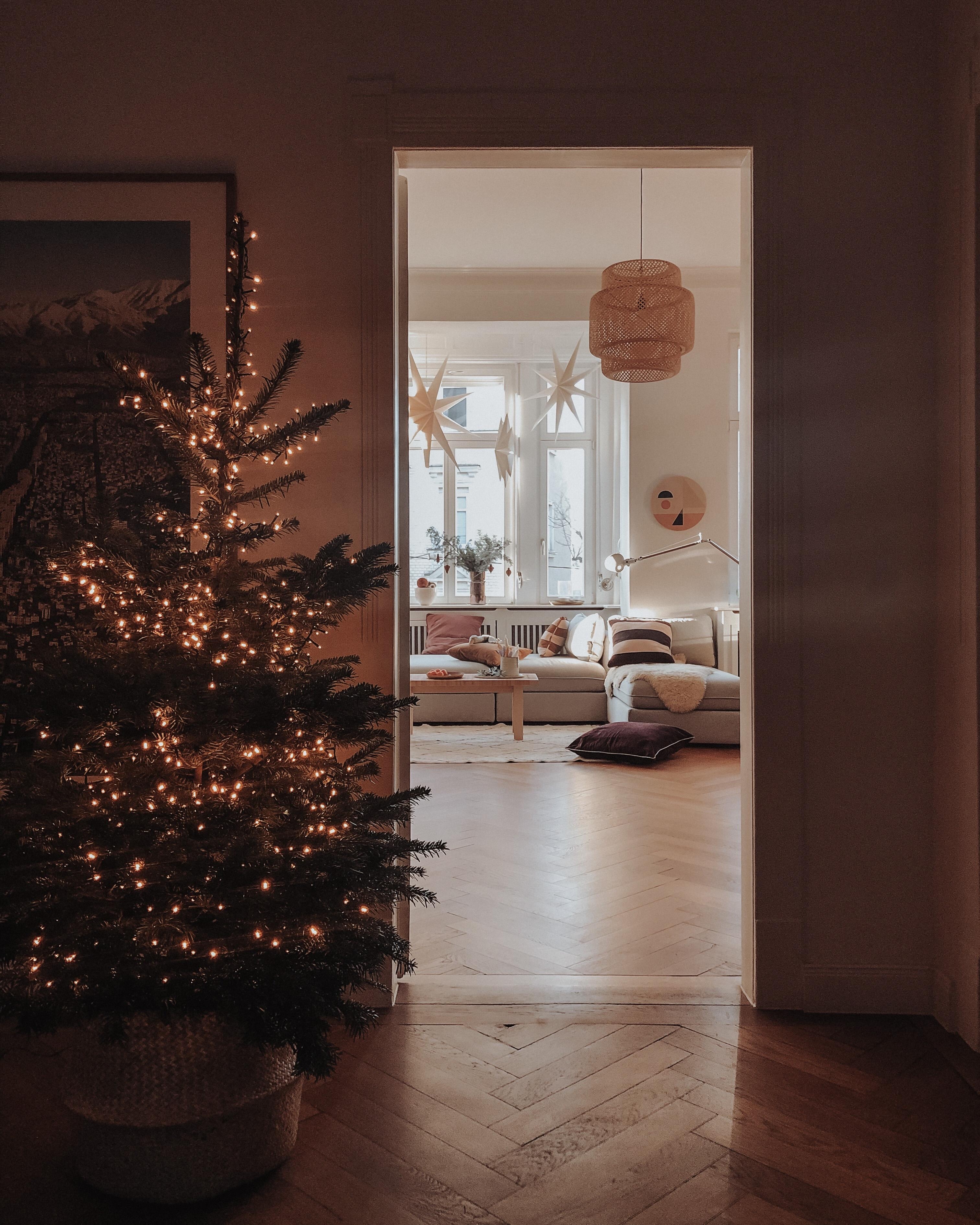 Am 4. Adventswochenende wandert der Baum ins Wohnzimmer um geschmückt zu werden 