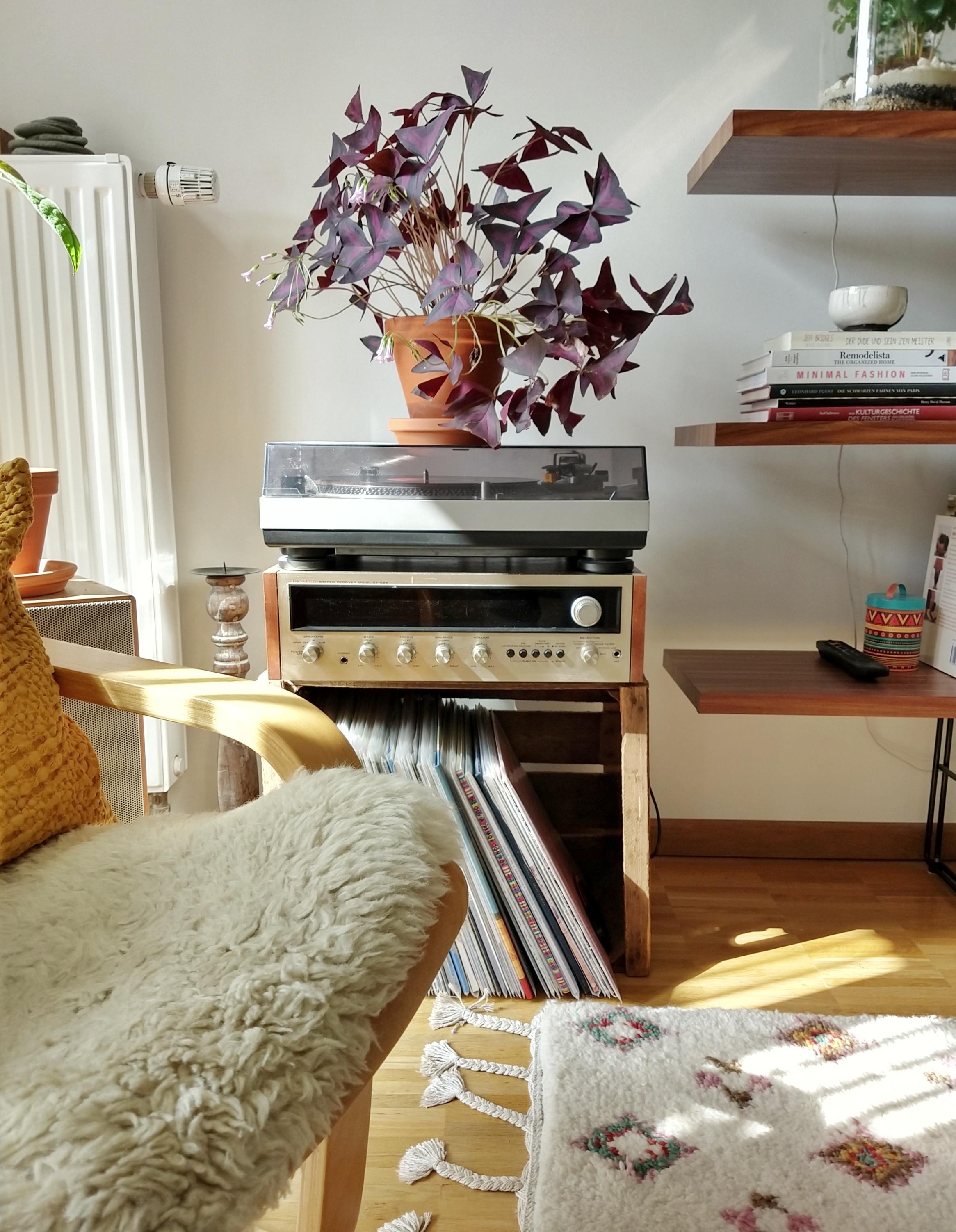 Am Wochenende endlich den neuen, alten Receiver angeschlossen - passt super rein und klingt herrlich! #vinyl #wohnzimmer