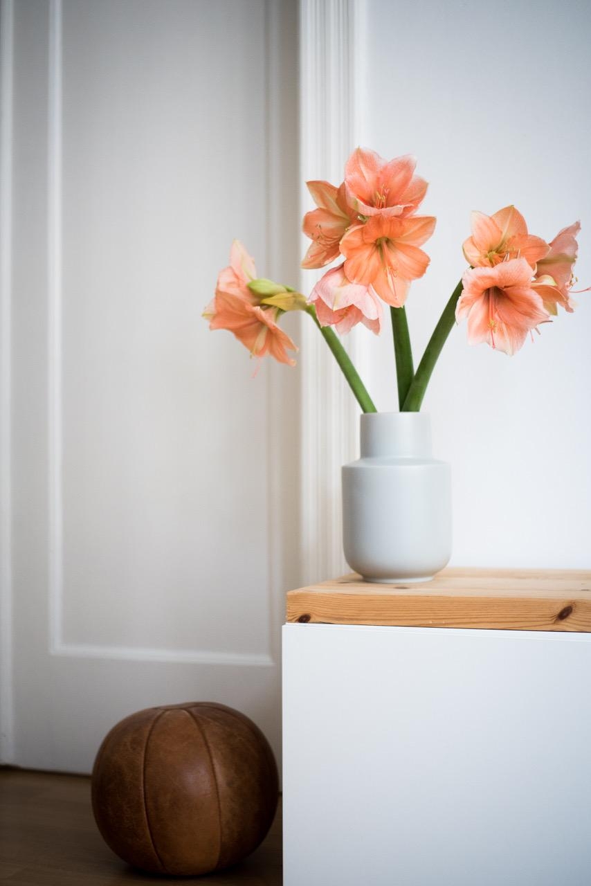Amaryllis am Montag #freshflowers #meinikea #vase #deko #interior #altbau #interiordesign