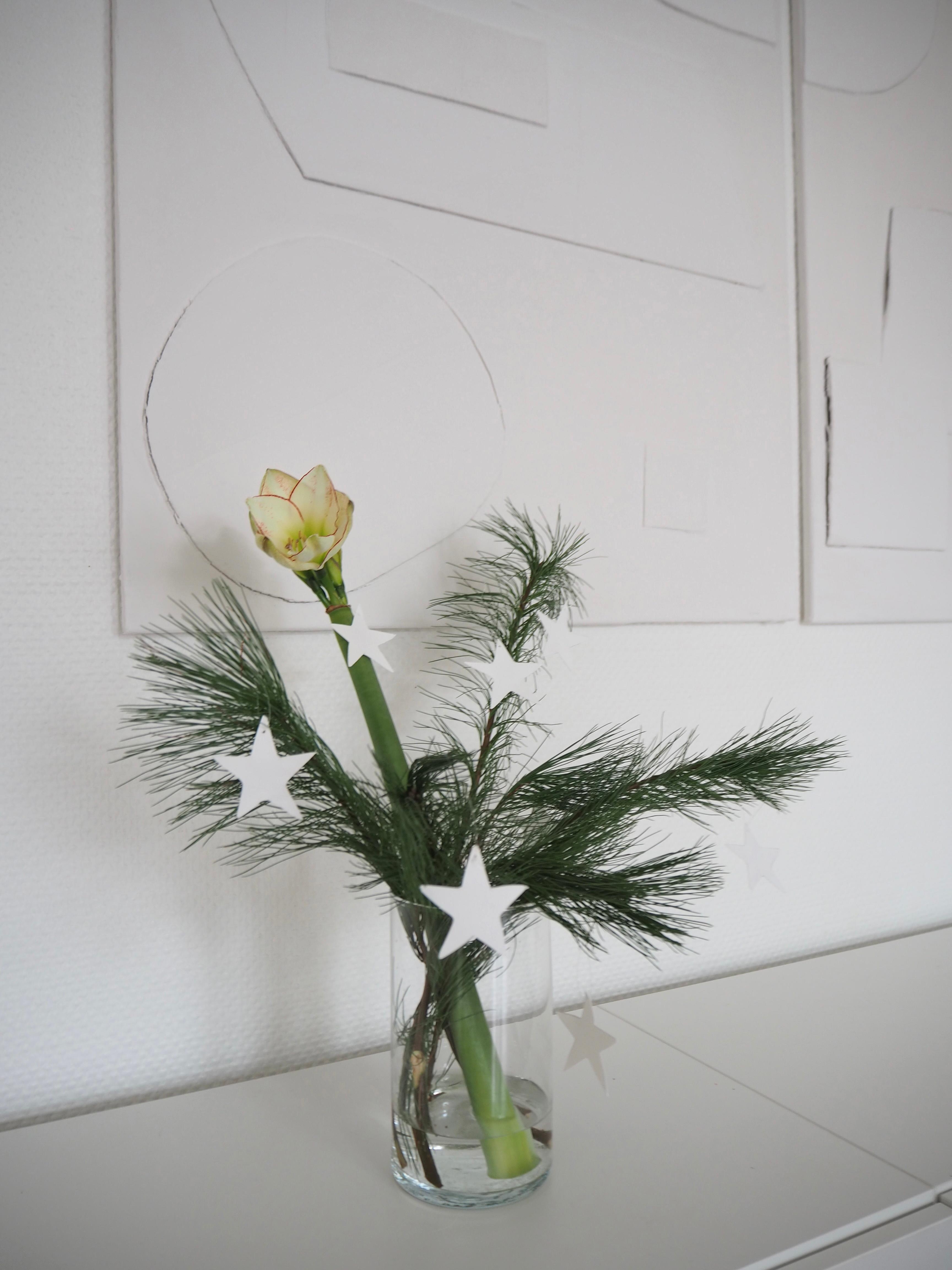 #amaryllis #blume #weihnachtsdeko #weihnachtlich #vase #sterne #papiersterne #weihnachtsstimmung #winterdiy