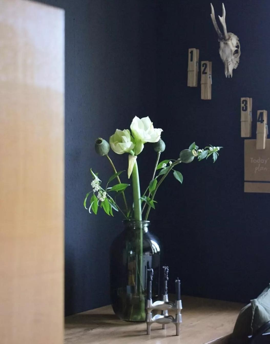 Amaryllis du Schöne #blumen #skull #blackwall #küche #kitchen #flowers #blumenstrauß 