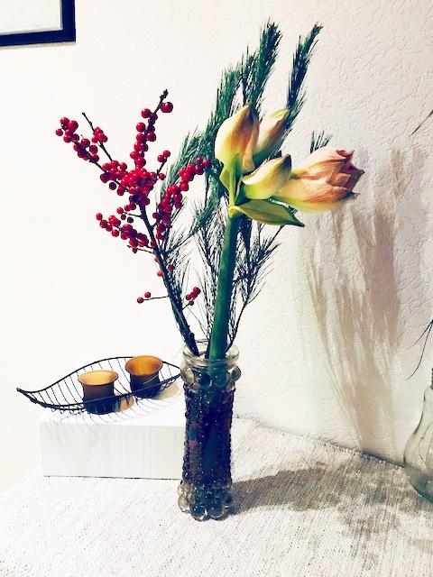 Amaryllis geben immer wieder zur Weihnachtszeit ein tolles Fotomotiv ab #deko #weihnachten #flowers