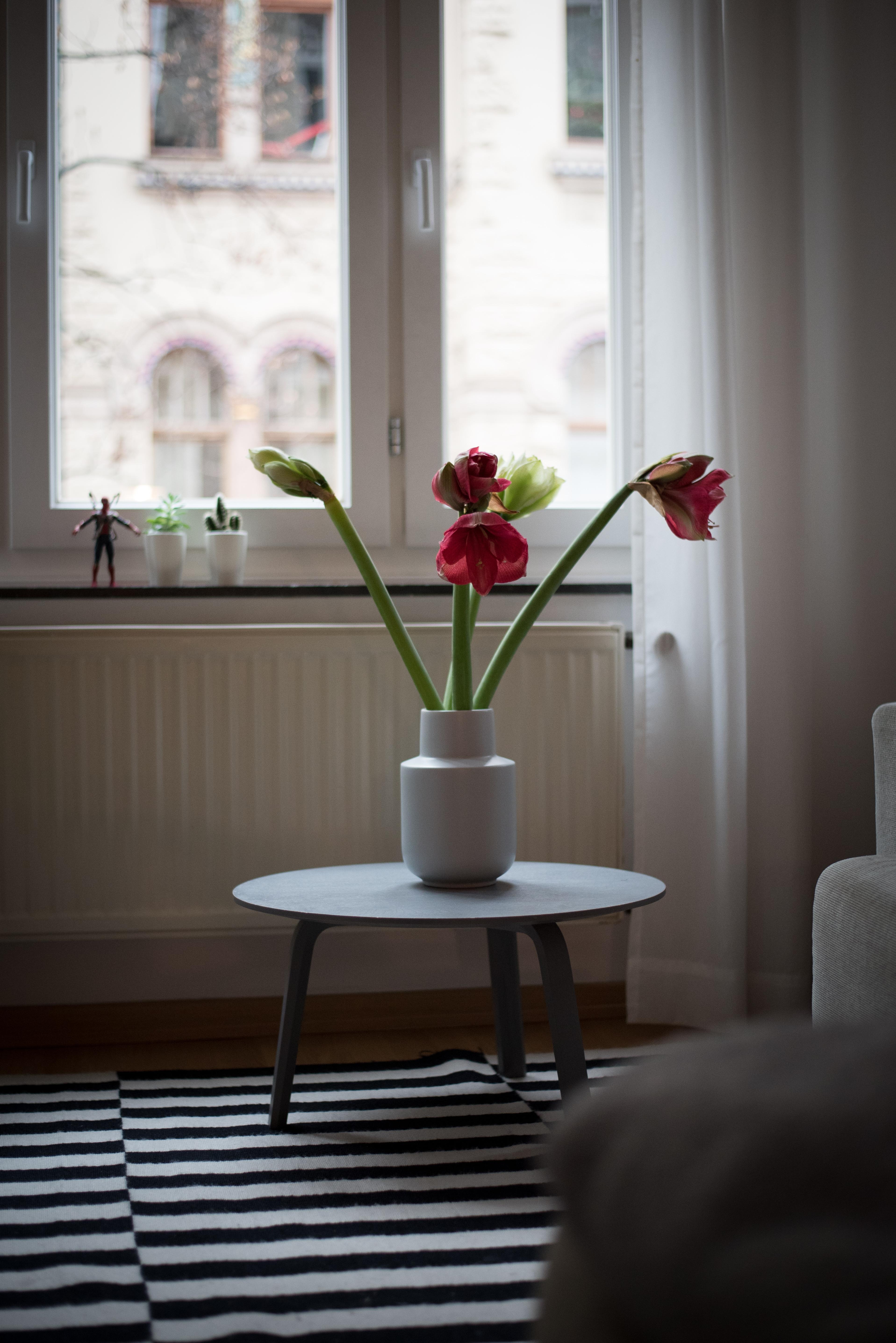 Amaryllis-Liebe! #livingroom #wintermood #interiorinspo