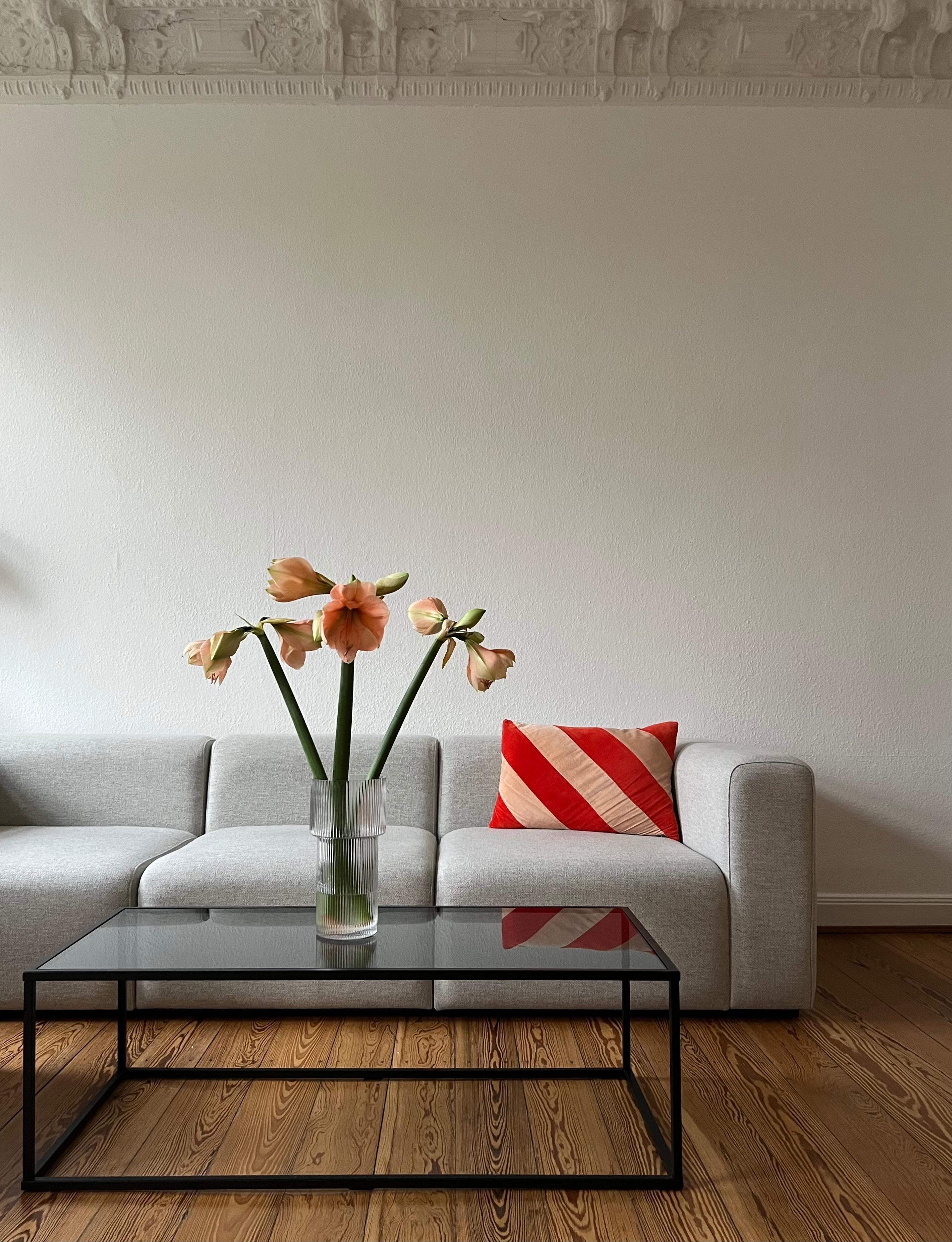 #amaryllis #sofa #couch #altbau #wohnzimmer #freshflowers #winterflowers #interior #blumen