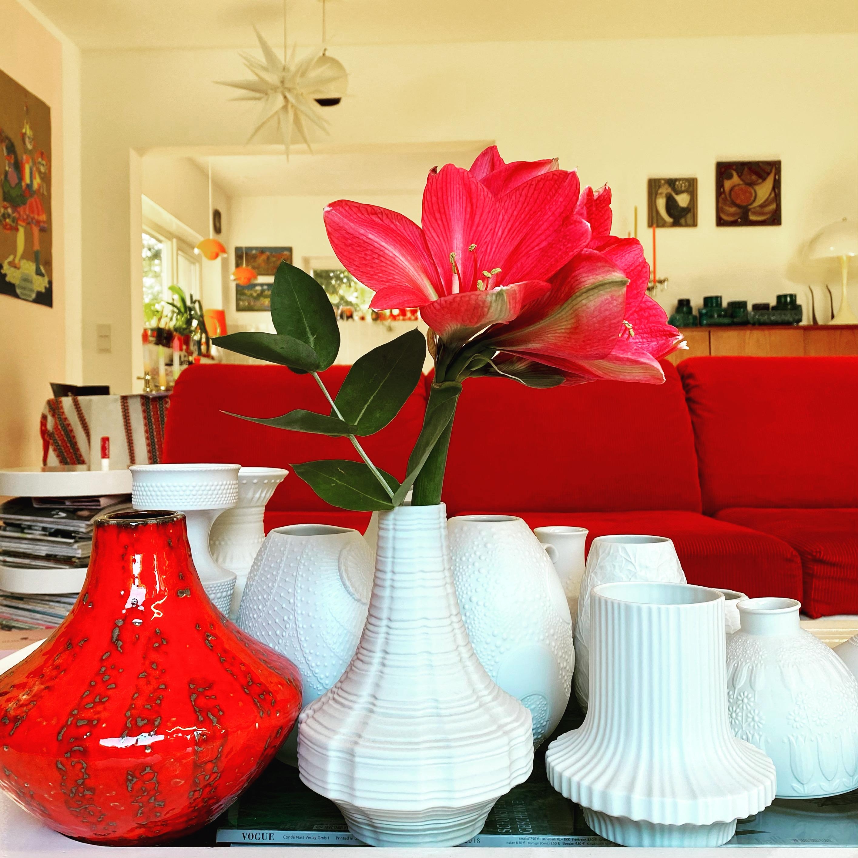 #amaryllis #vase #vasenliebe #colorful #livingroom #flowers