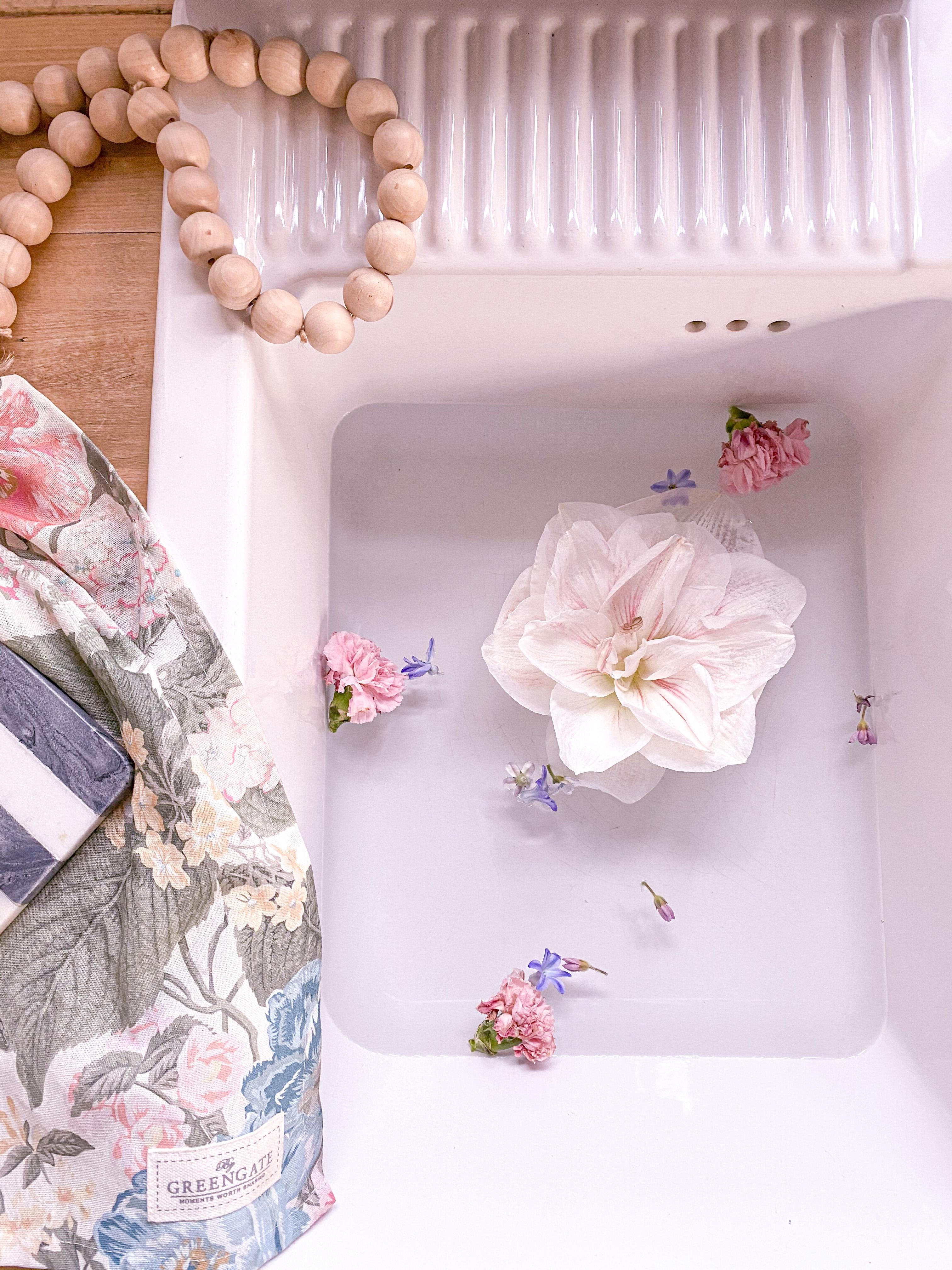 Amaryllisliebe
#flowerlover#details#blumenmädchen#kitchendetails#flowerpic