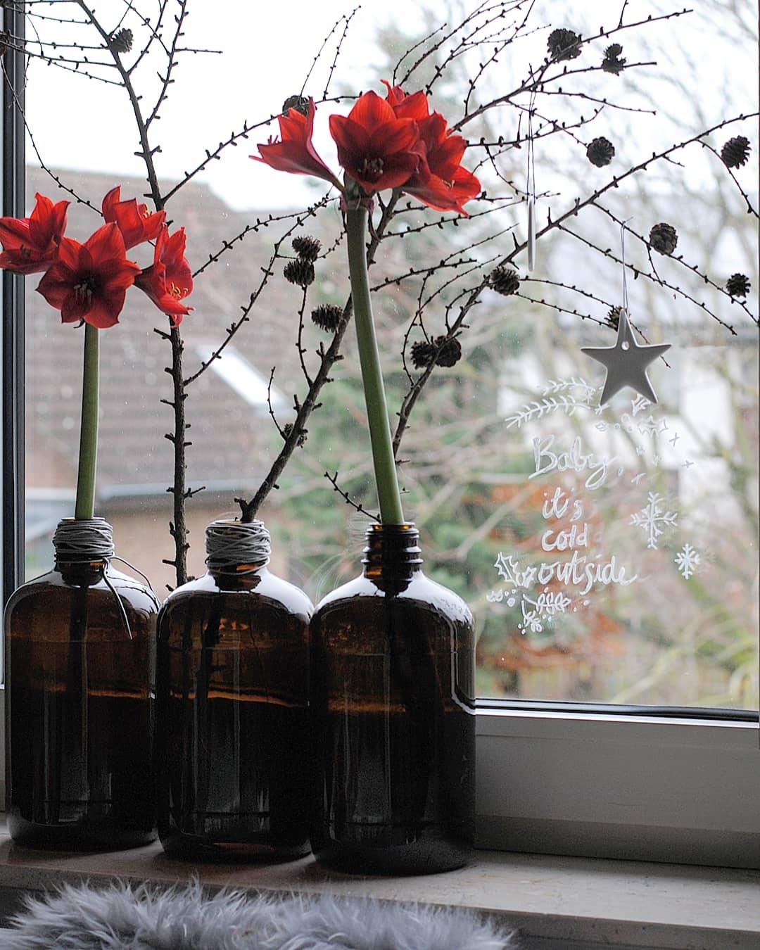Amarylliszeit!
#amaryllis #vasenliebe #weihnachten #advent #couchstyle #interiorinspo 