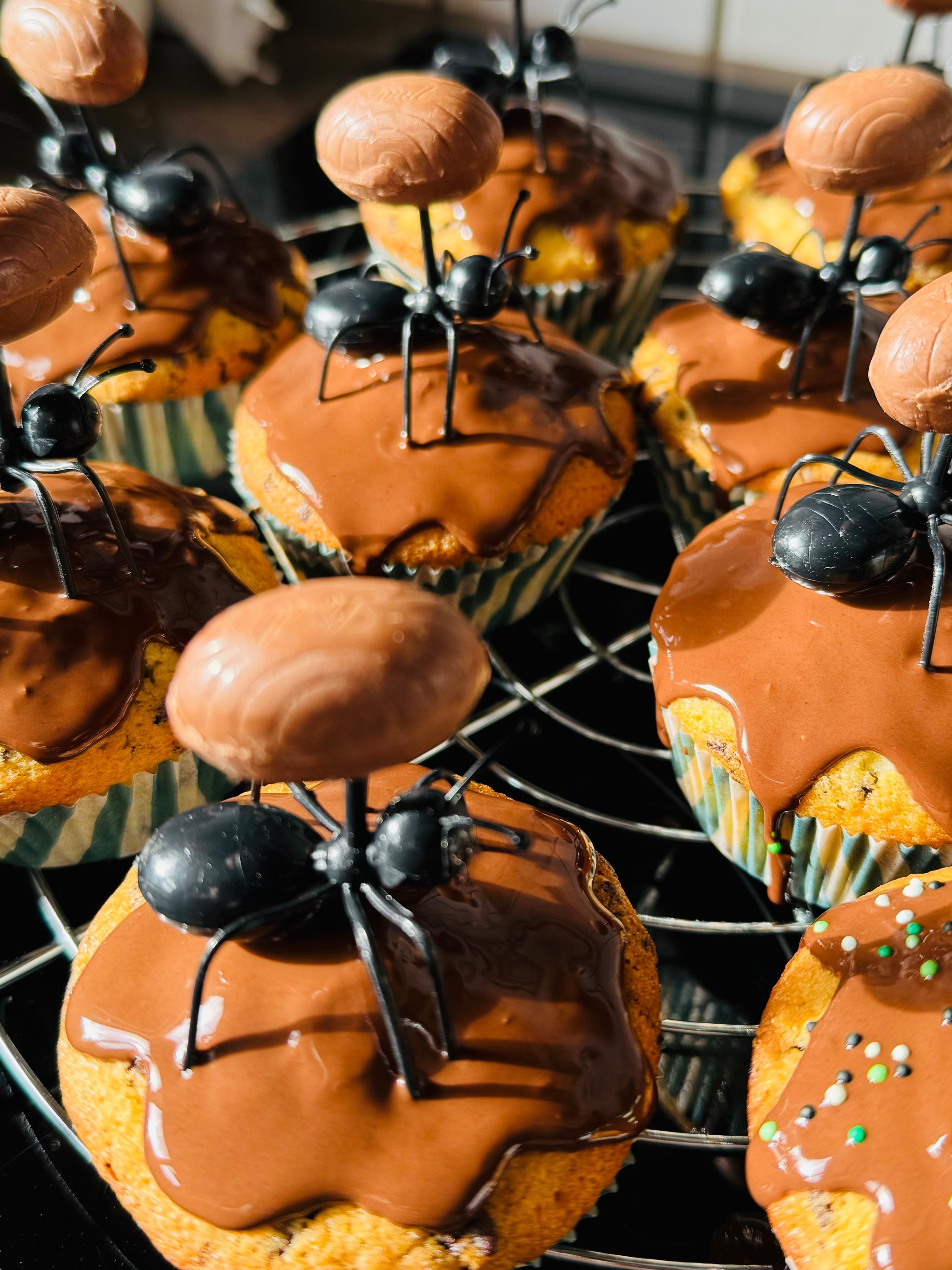 Ameisenmuffins. #lebenmitkids #backenistliebe #kindergeburtstag